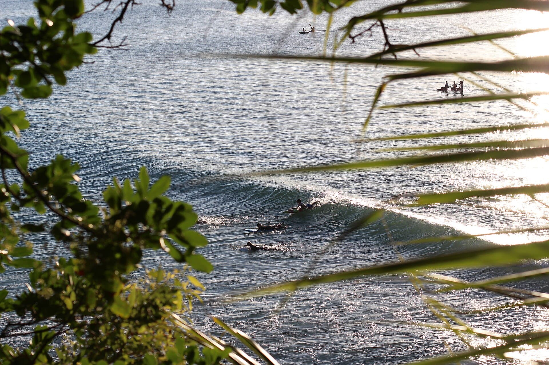 Things to Do in Noosa Heads, Sunshine Coast: The Local Guide