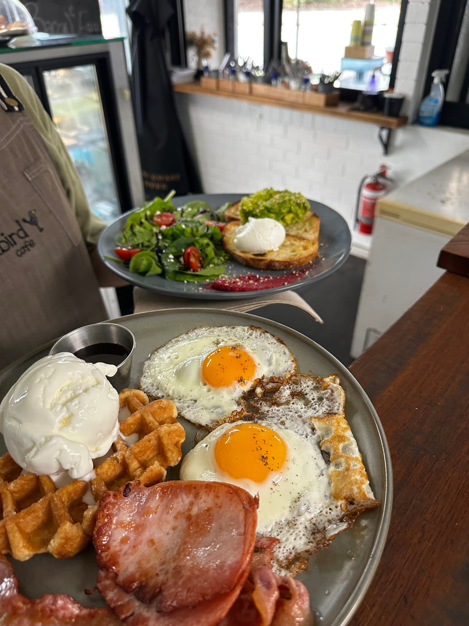Little Blackbird Cafe — Maroochydore, Sunshine Coast