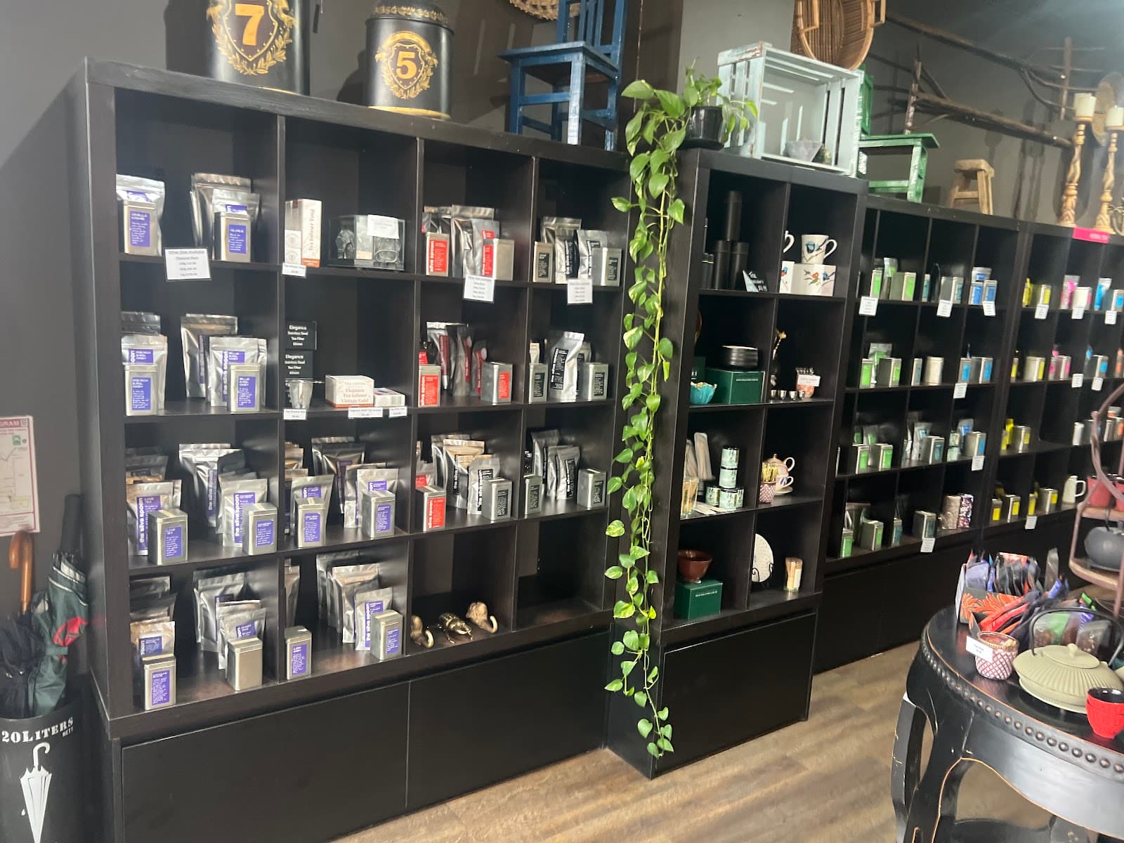 The Silva Spoon — Maroochydore, Sunshine Coast