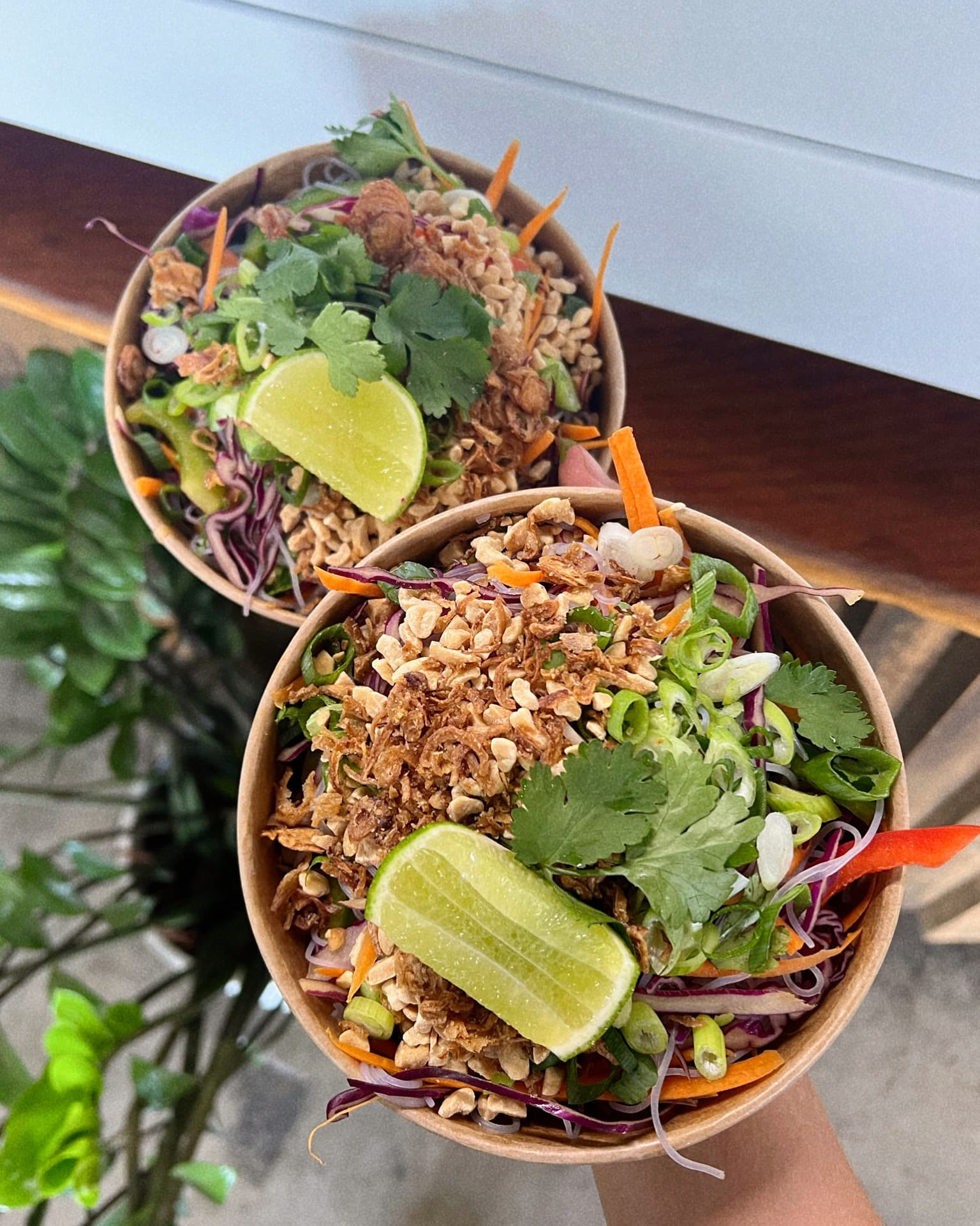 Local Social Mooloolaba — Mooloolaba, Sunshine Coast