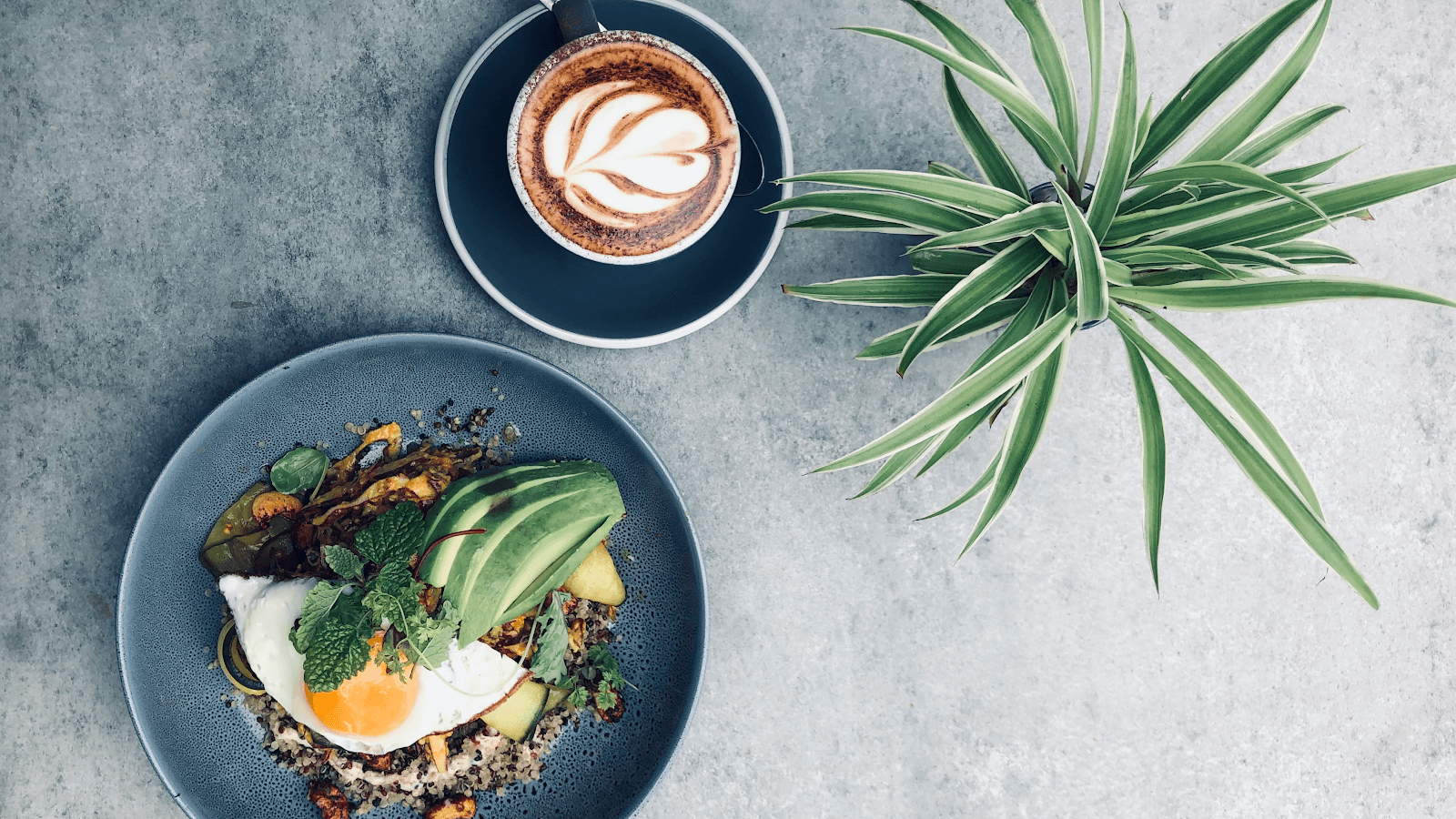 MOTO — Noosaville, Sunshine Coast