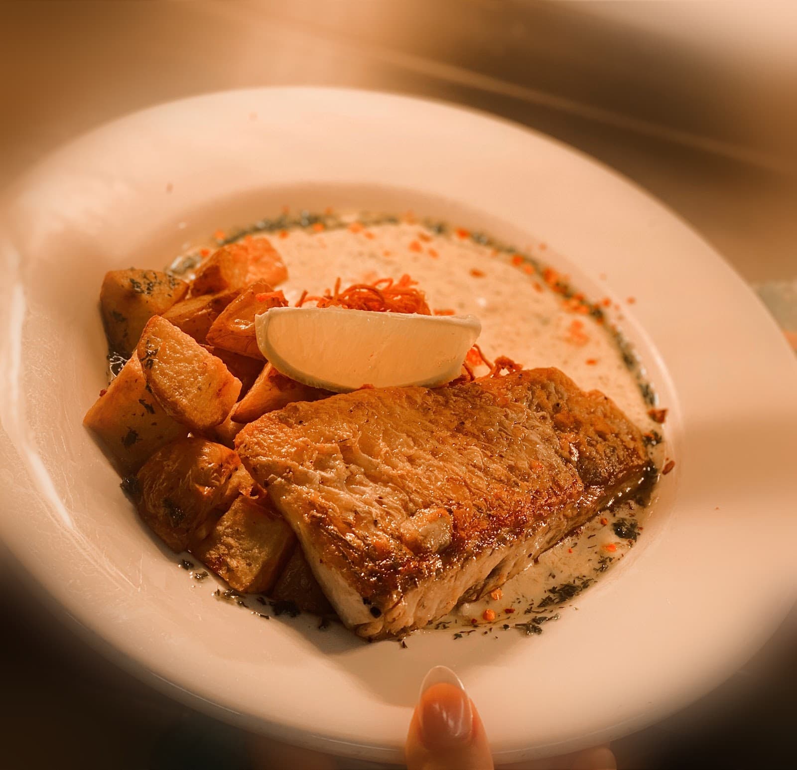 CHILL BISTRO. — Caloundra, Sunshine Coast