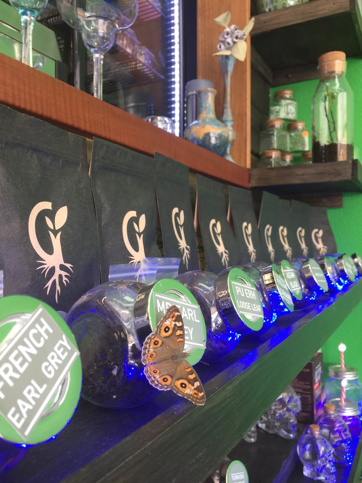 Grounded Emporium — Caloundra, Sunshine Coast