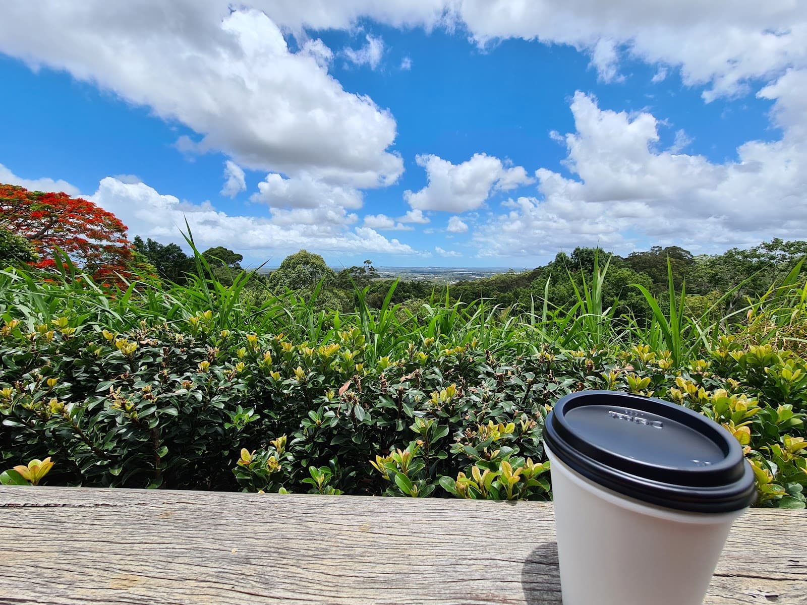 Rue Bourbon Coffee — Buderim, Sunshine Coast