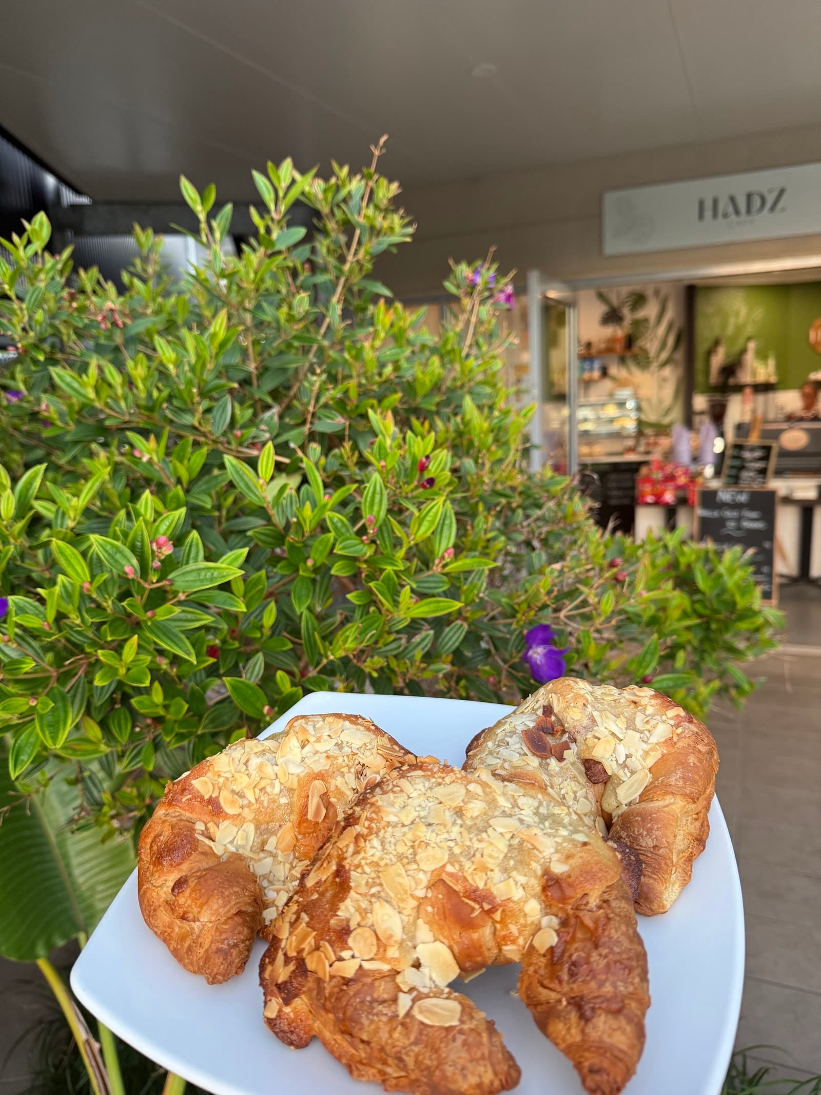 Hadz Cafe — Peregian Beach, Sunshine Coast