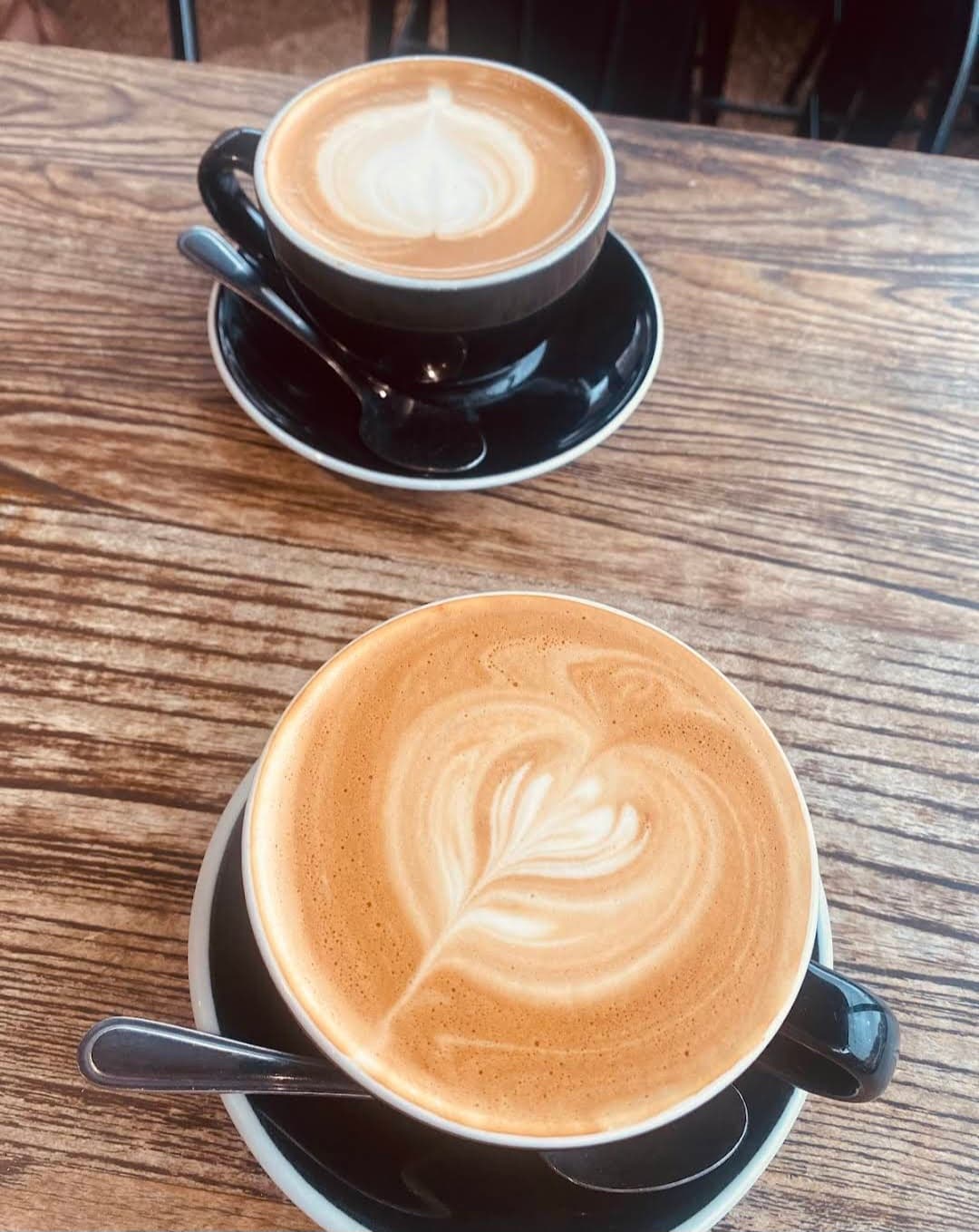 Cock and Hen — Marcoola, Sunshine Coast
