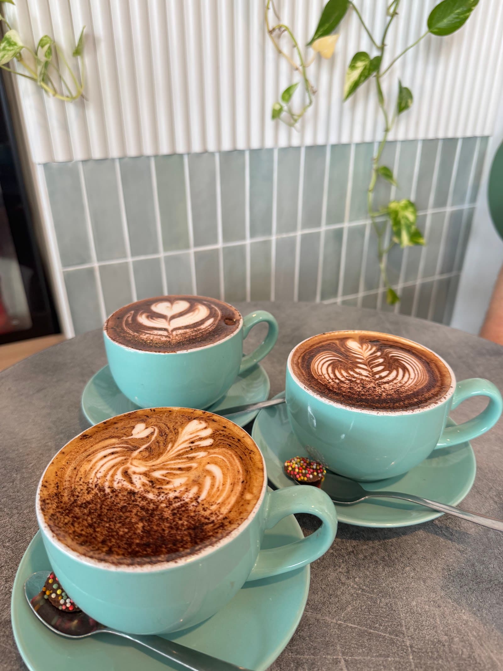 TwinFins espresso Bar — Kawana Waters, Sunshine Coast