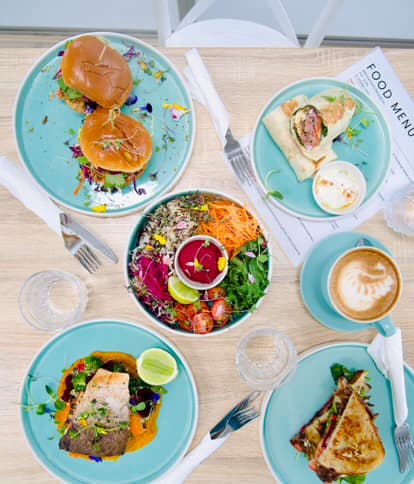 Back to Basics Organic Cafe — Kawana Waters, Sunshine Coast