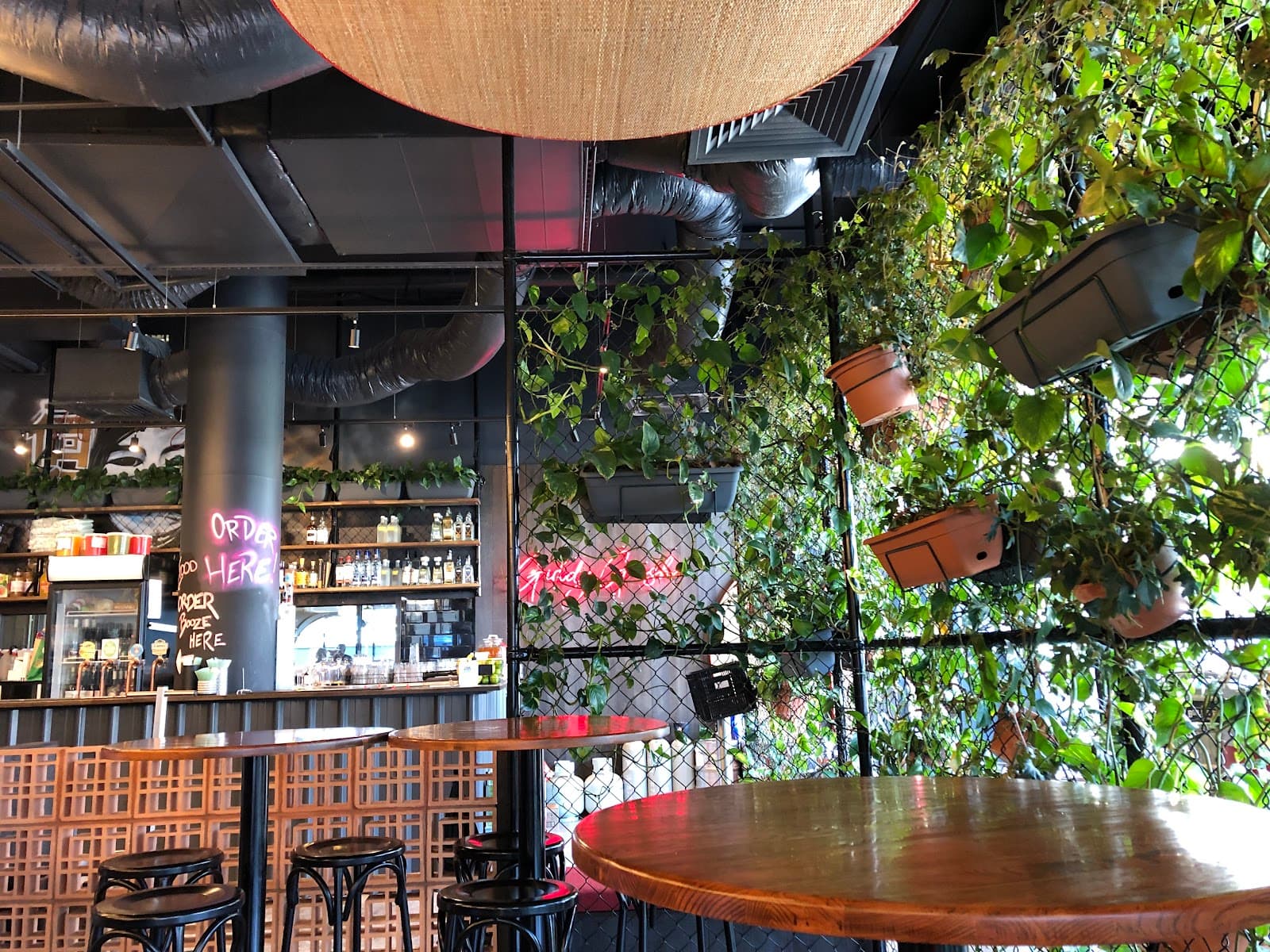 Giddy Geisha — Buderim, Sunshine Coast