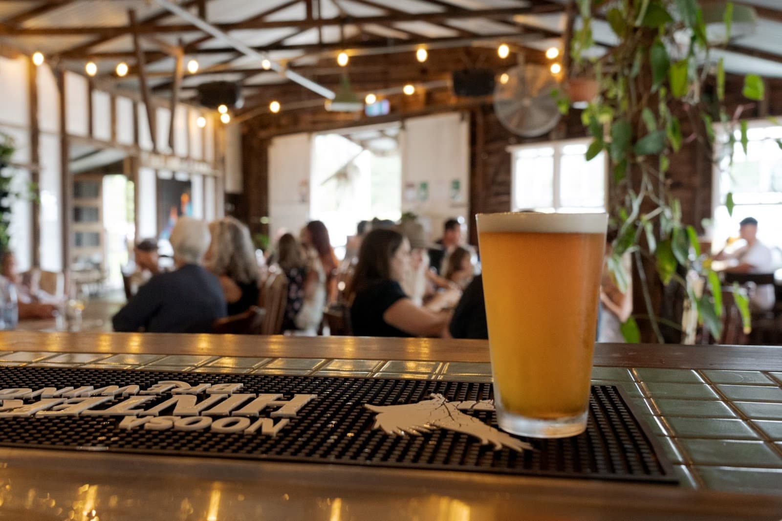 Noosa Hinterland Brewing Co. — Peregian Beach, Sunshine Coast