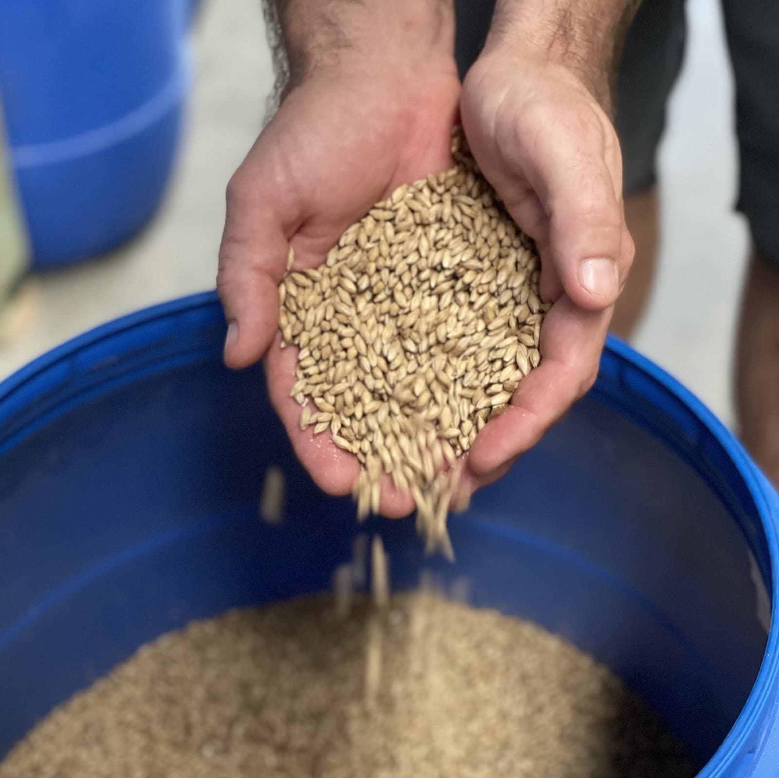 The Brew Store Noosa — Noosaville, Sunshine Coast