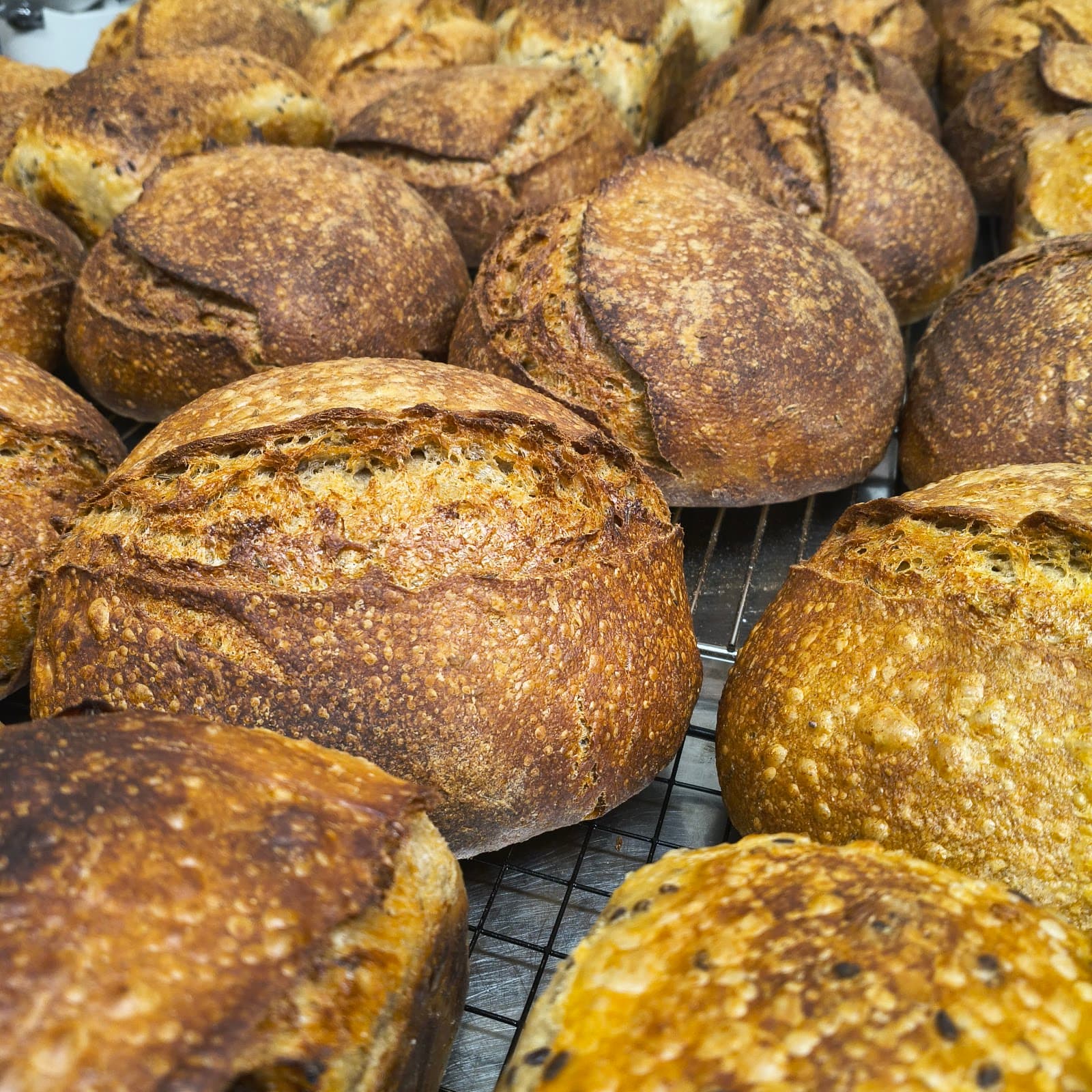 Love Camellia - Teahouse & Sourdough Bakery — Maroochydore, Sunshine Coast