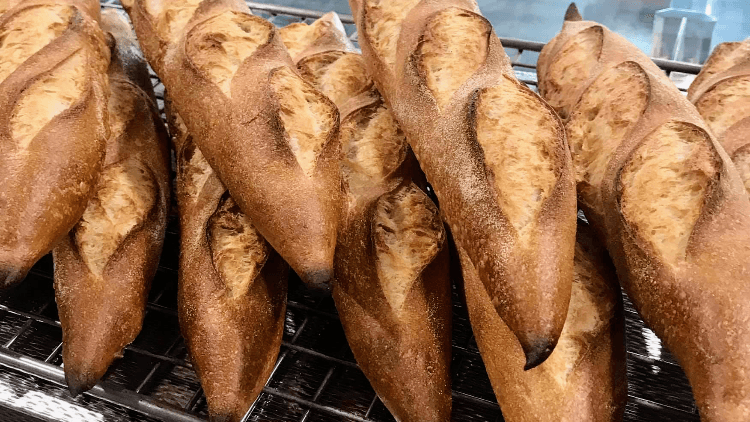 Noosa Outlook Bakery — Eumundi, Sunshine Coast