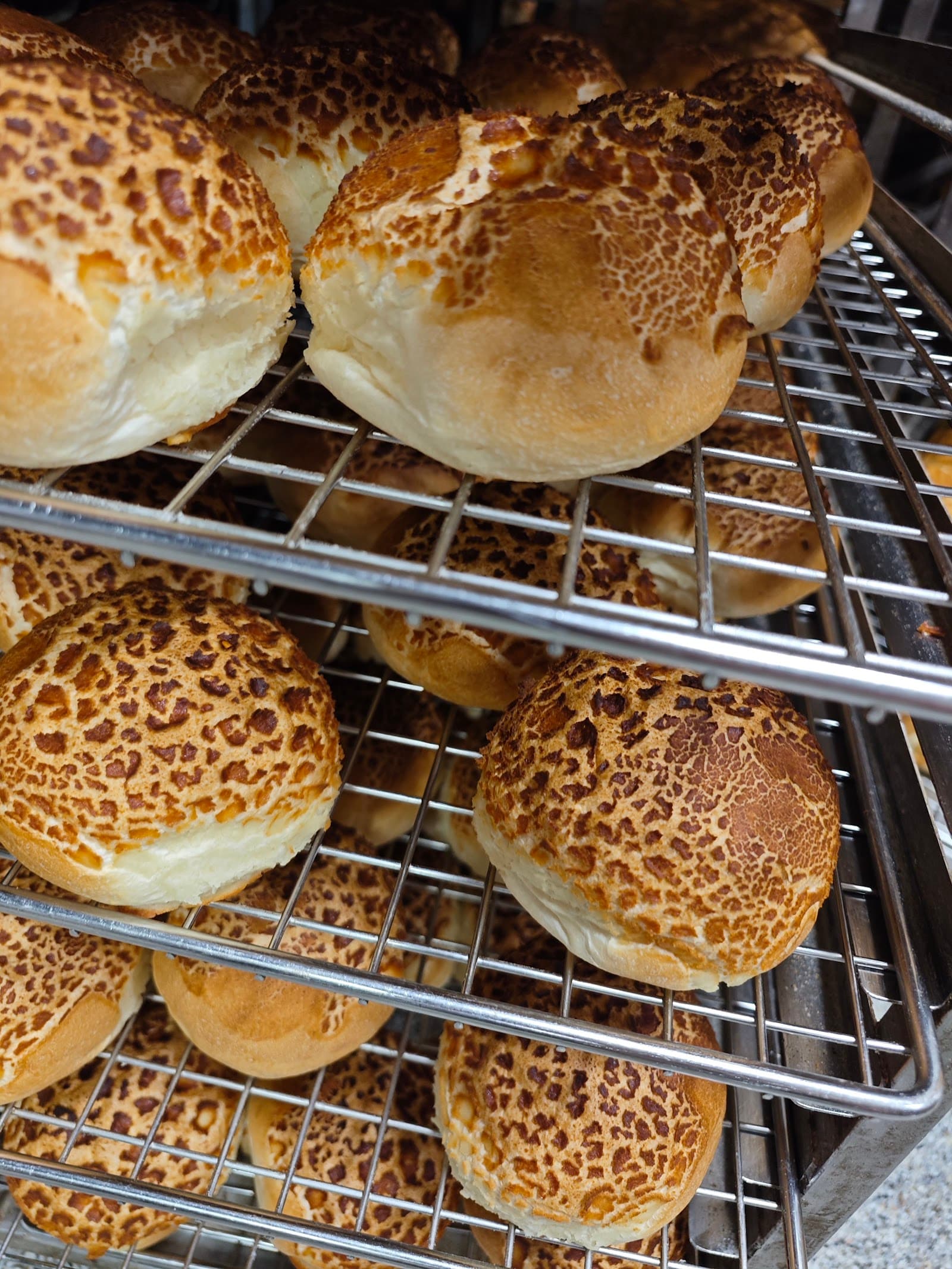 Noosa Gourmet — Noosaville, Sunshine Coast