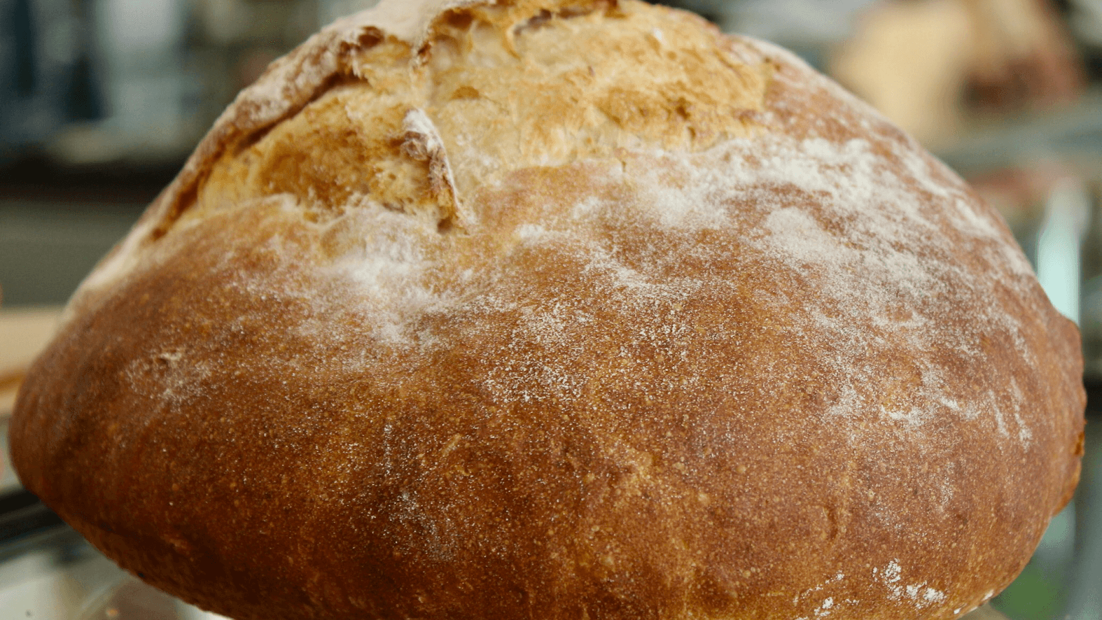The Angry Baker — Caloundra, Sunshine Coast