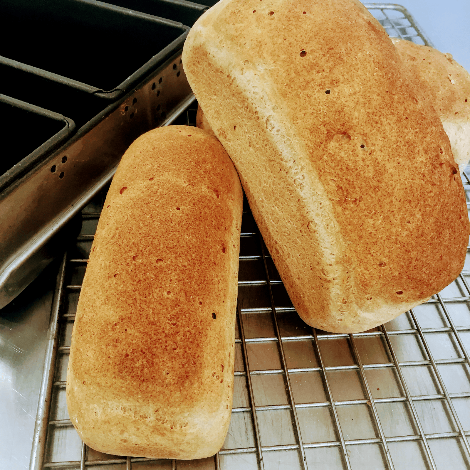 The Angry Baker — Caloundra, Sunshine Coast
