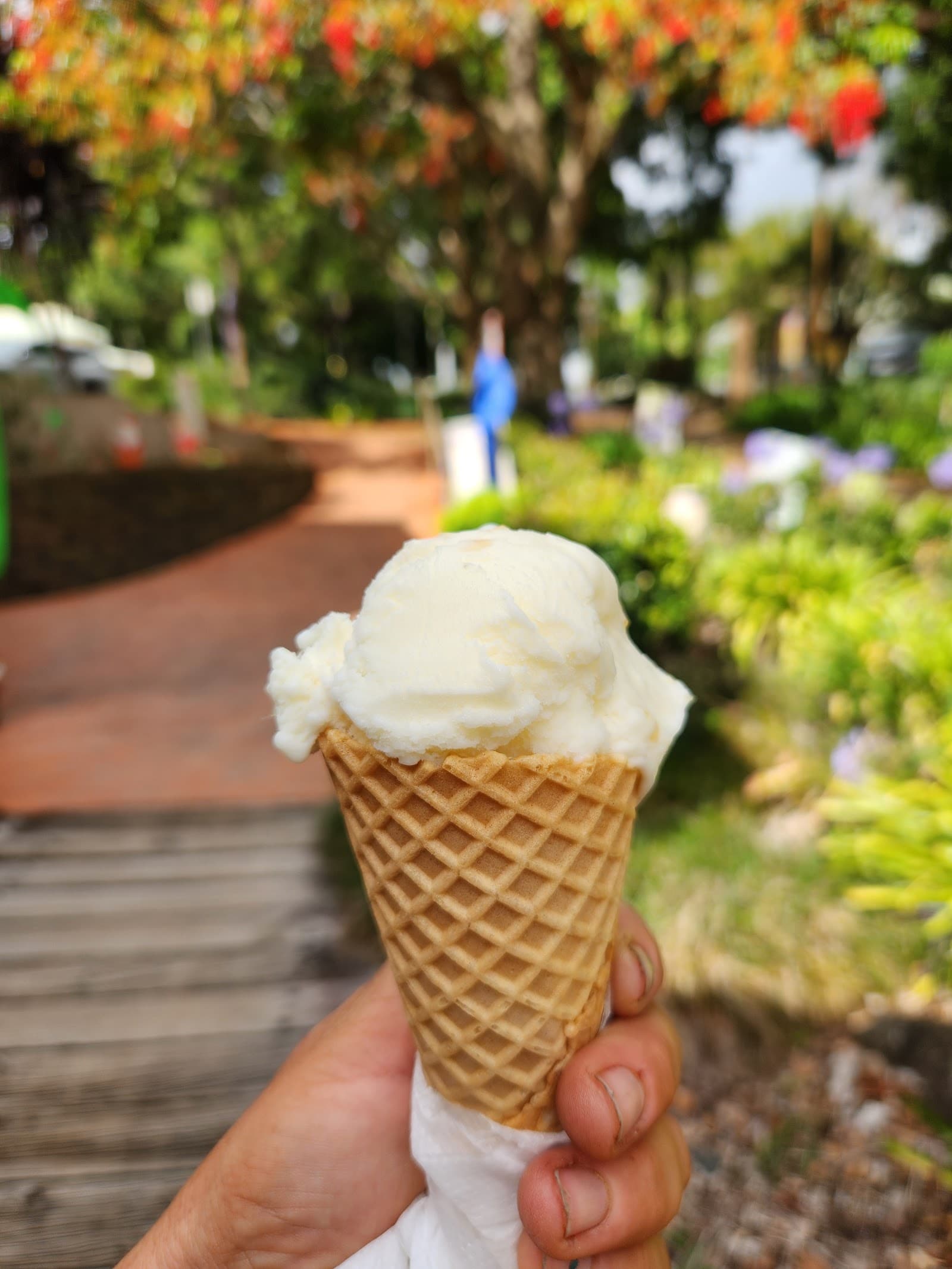 Buderim Ginger Shoppe — Montville, Sunshine Coast