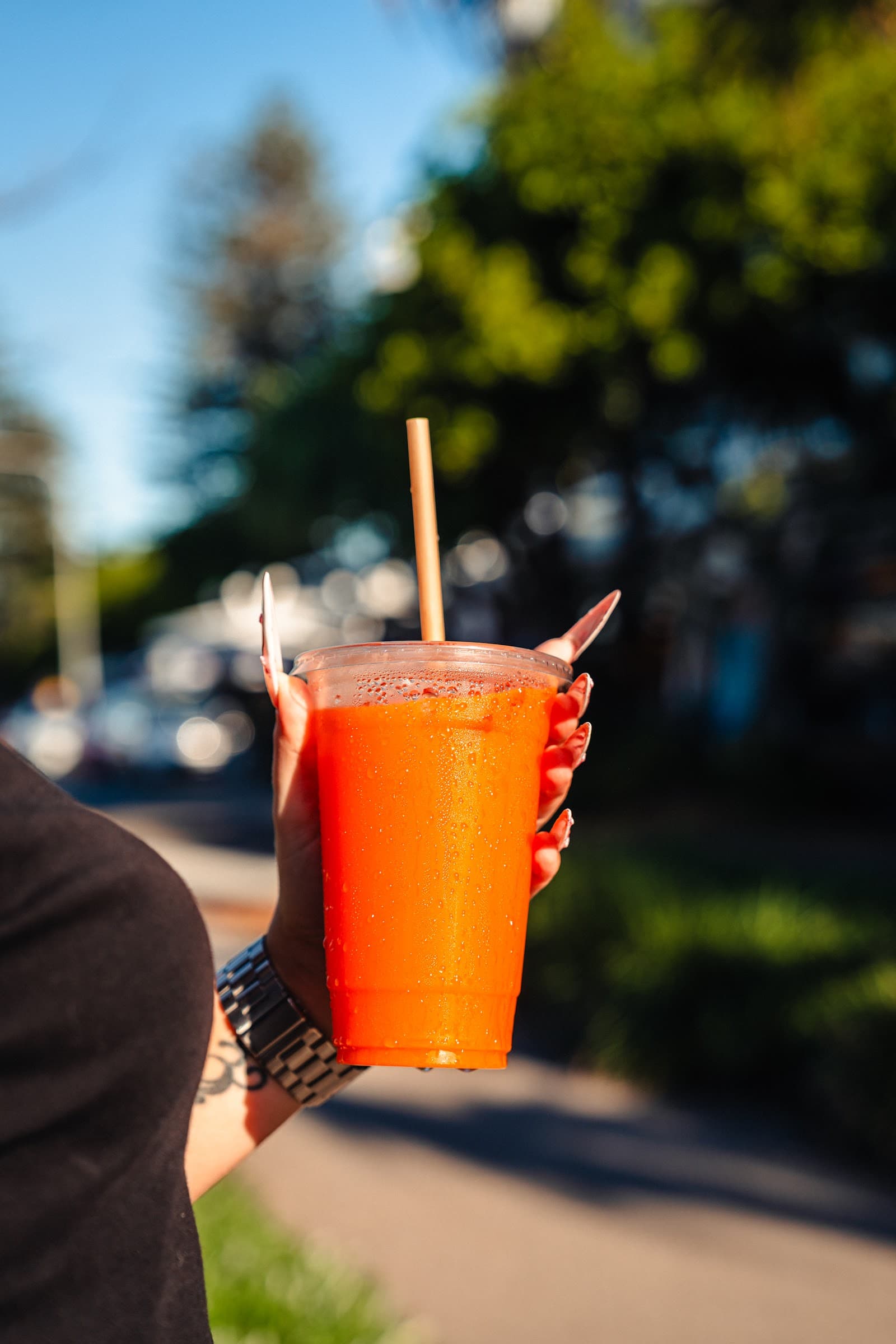 Tropicool Treats Mooloolaba — Mooloolaba, Sunshine Coast