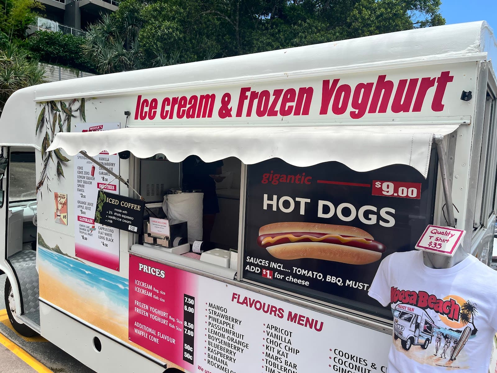 Frenzy Ice Cream Van — Noosa Heads, Sunshine Coast