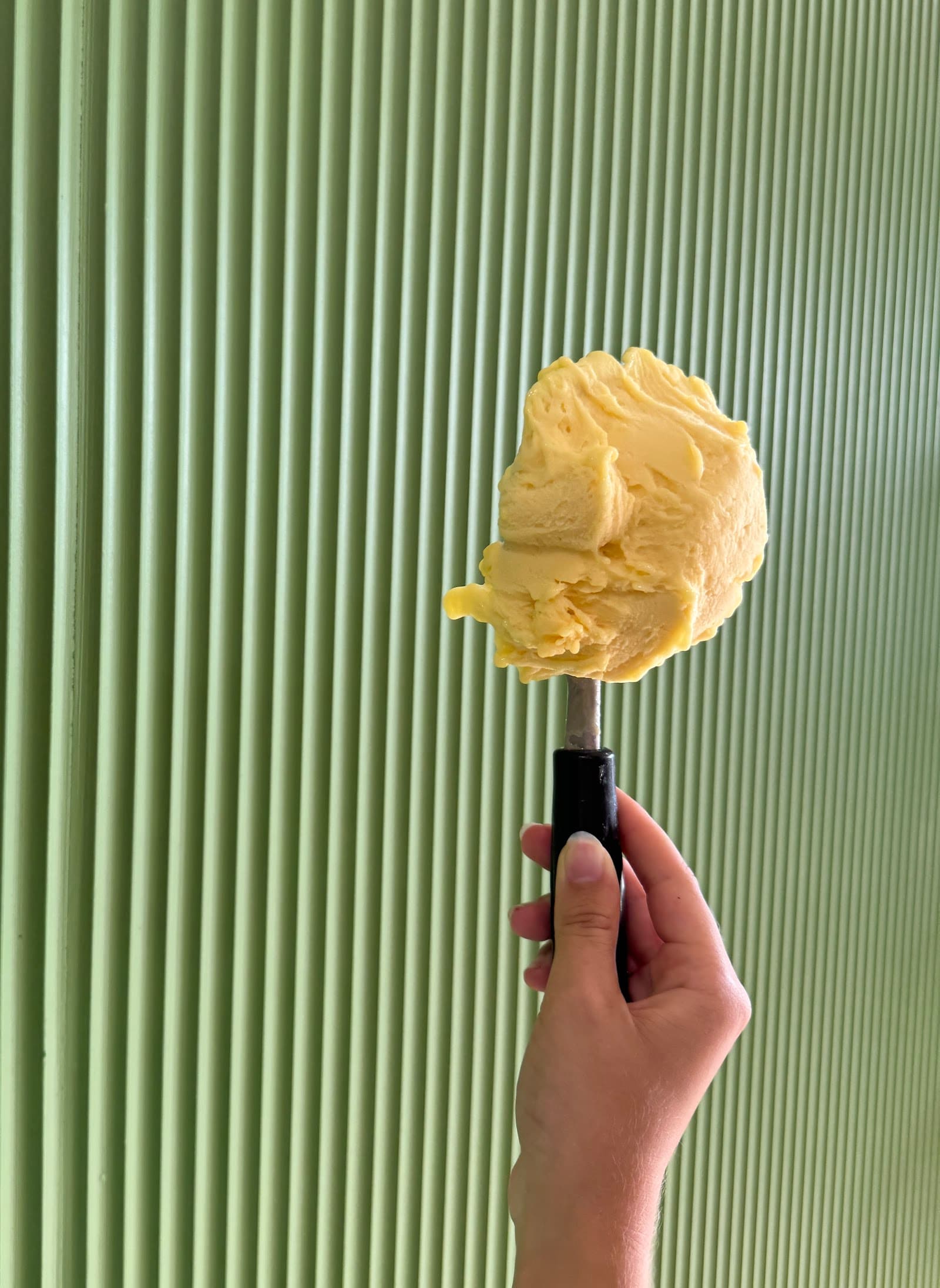 Fifty Acres Gelato, Caloundra — Kawana Waters, Sunshine Coast