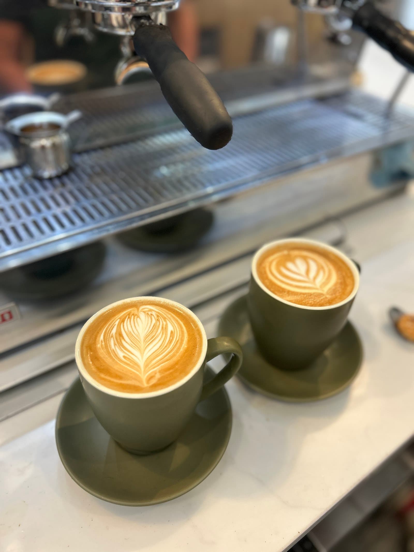 Social 51 — Caloundra, Sunshine Coast