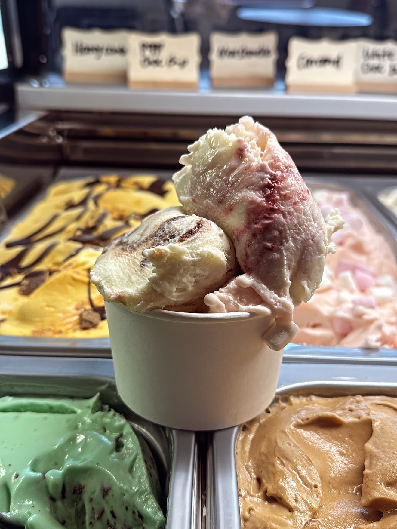Scoop house — Buderim, Sunshine Coast