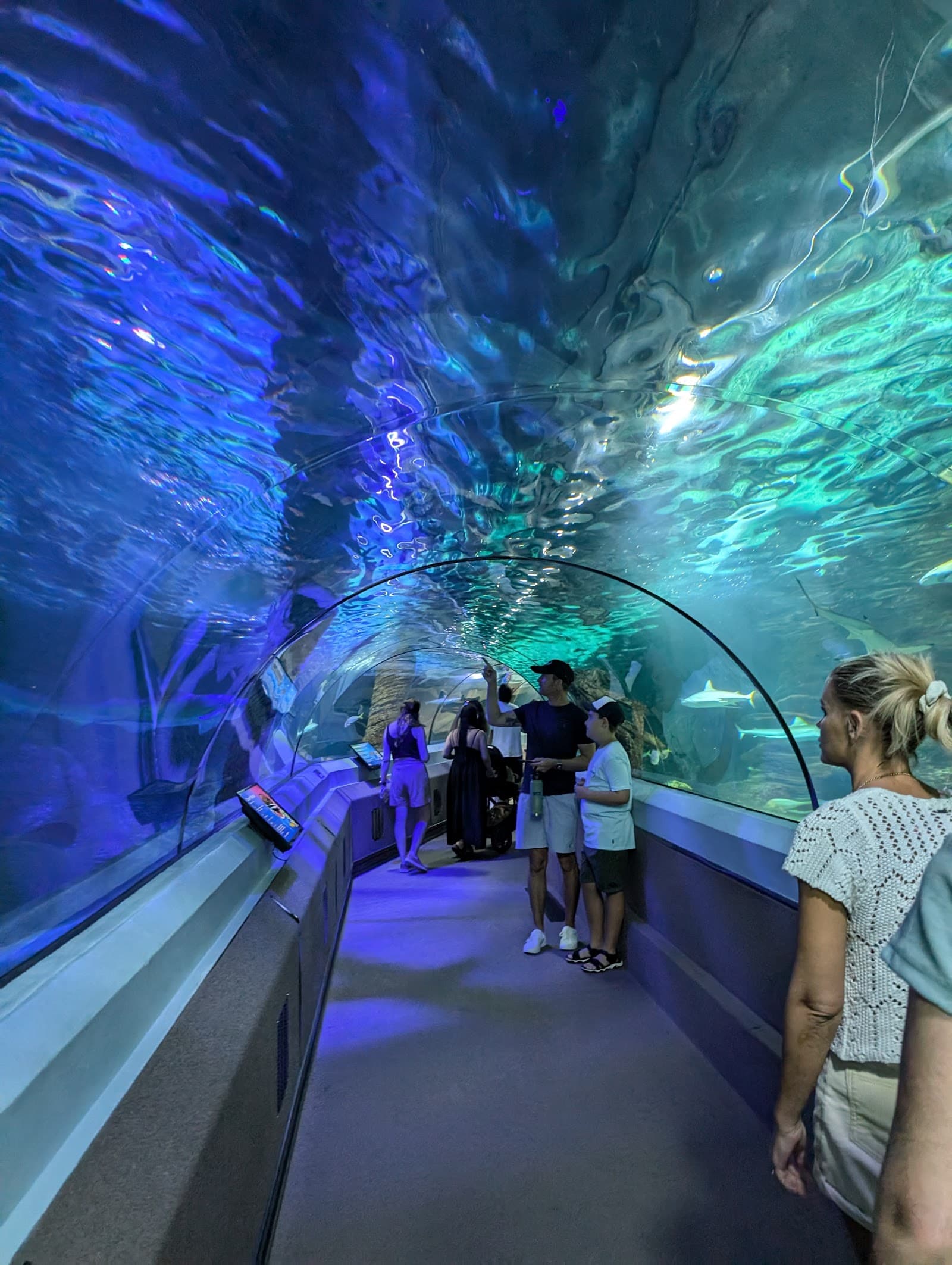 SEA LIFE Sunshine Coast Aquarium — Mooloolaba, Sunshine Coast