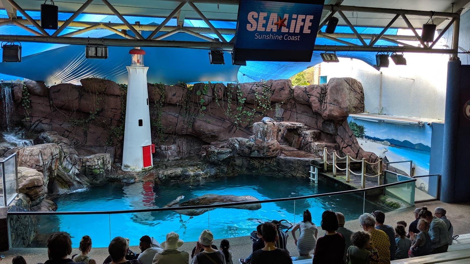 SEA LIFE Sunshine Coast Aquarium — Mooloolaba, Sunshine Coast