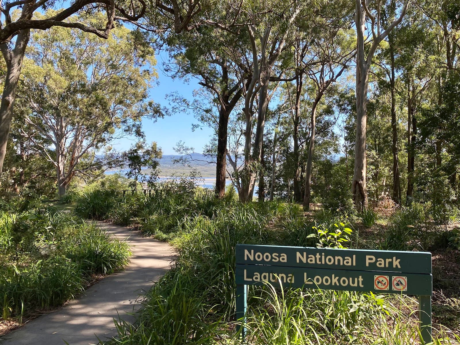 Laguna Lookout — Marcoola, Sunshine Coast