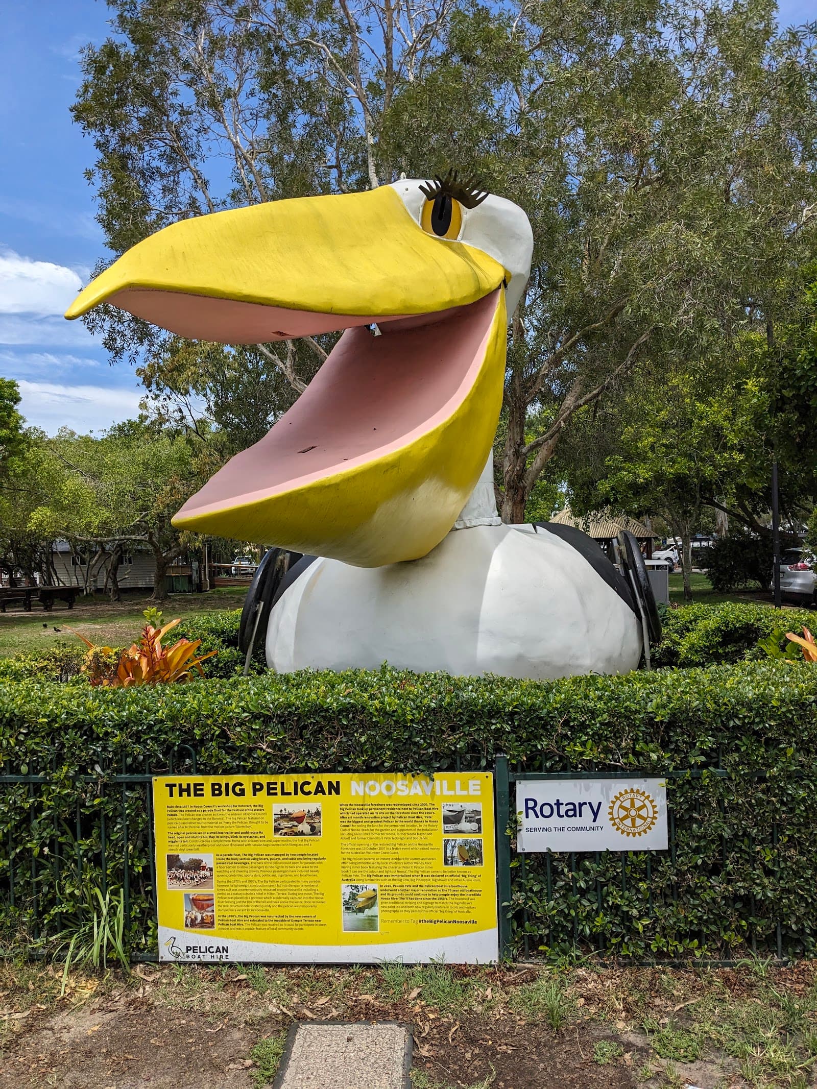 The Big Pelican — Peregian Beach, Sunshine Coast