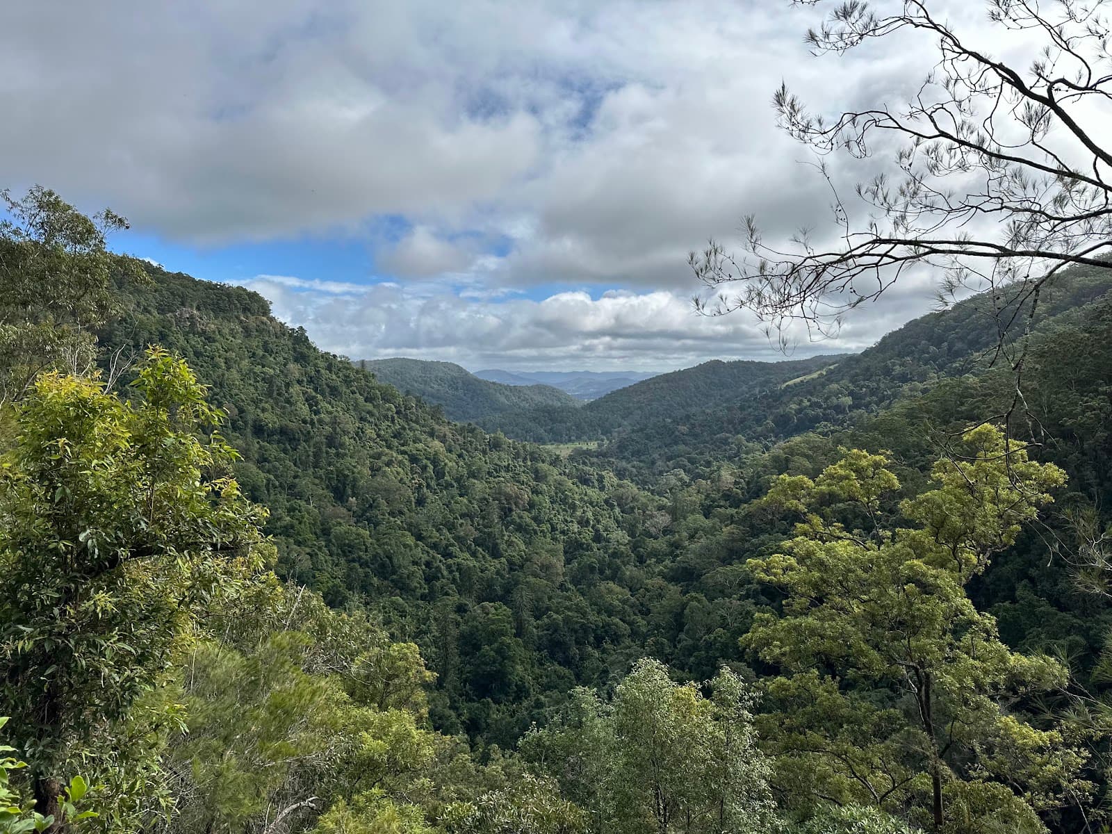 Kondalilla Falls — Montville, Sunshine Coast