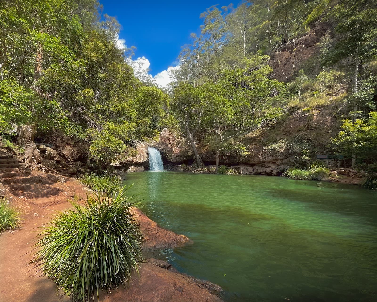Kondalilla Falls — Montville, Sunshine Coast