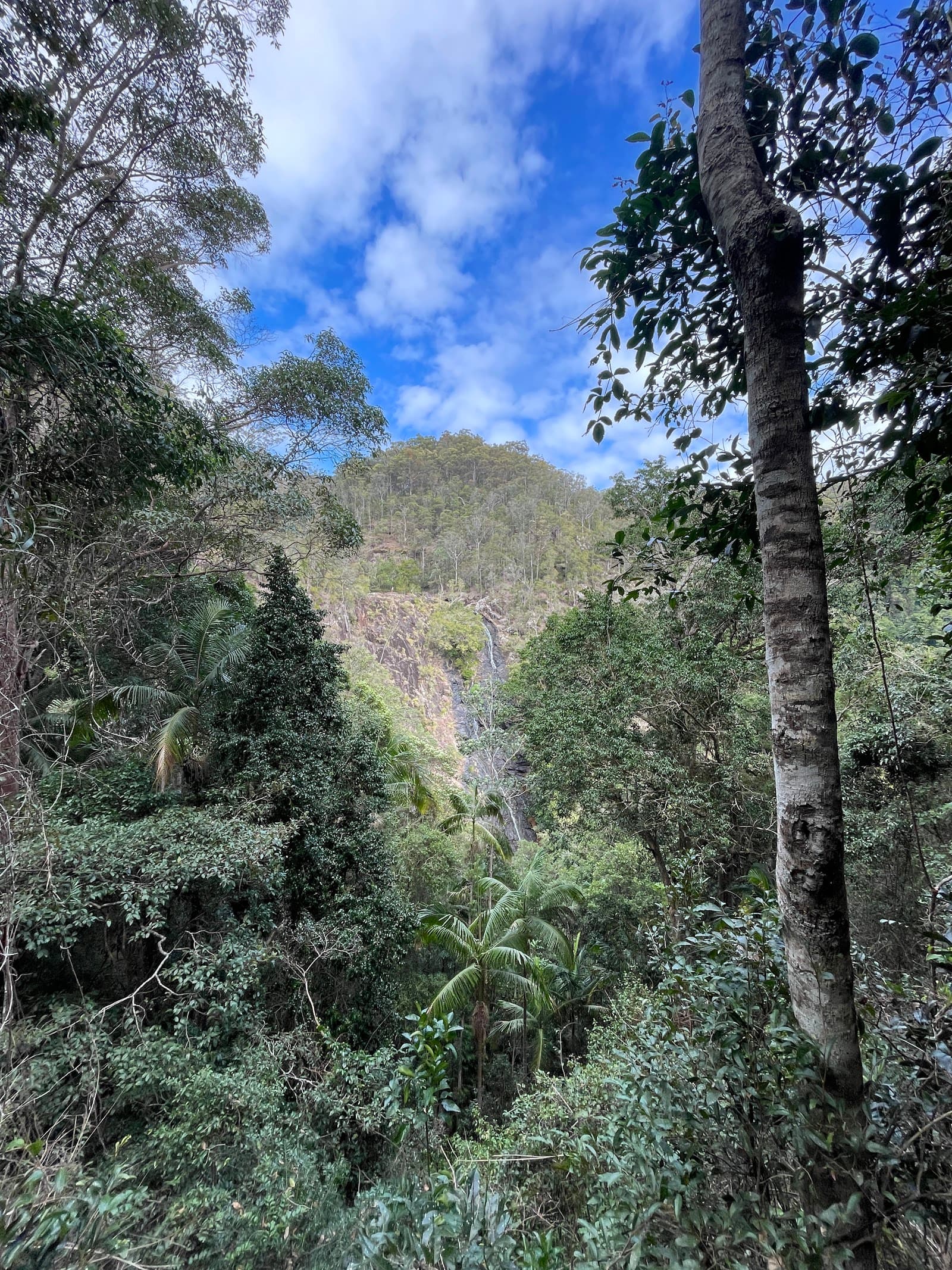 Kondalilla Falls — Montville, Sunshine Coast