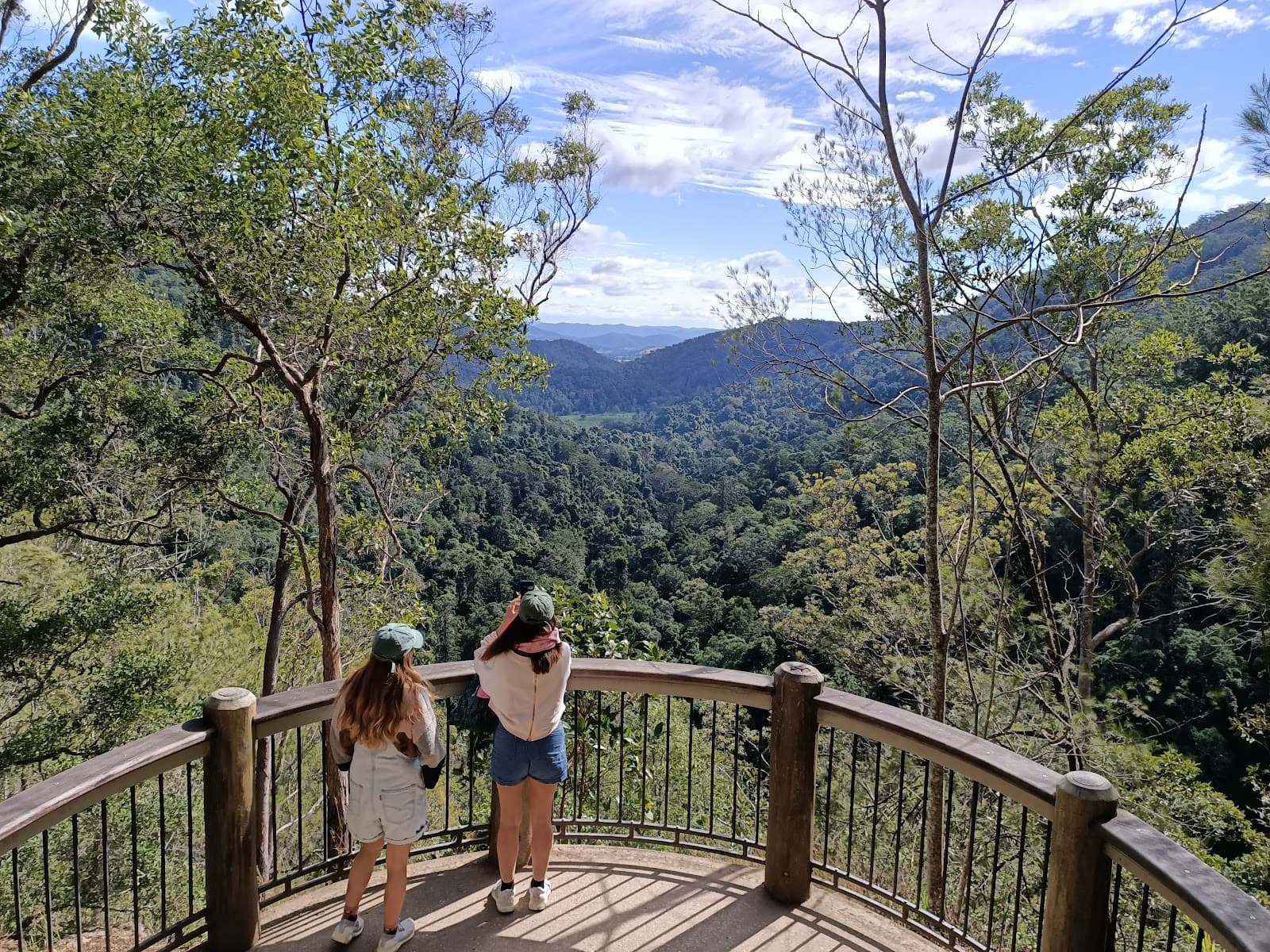 Kondalilla National Park — Montville, Sunshine Coast