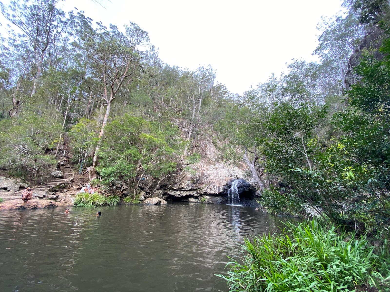 Kondalilla National Park — Montville, Sunshine Coast