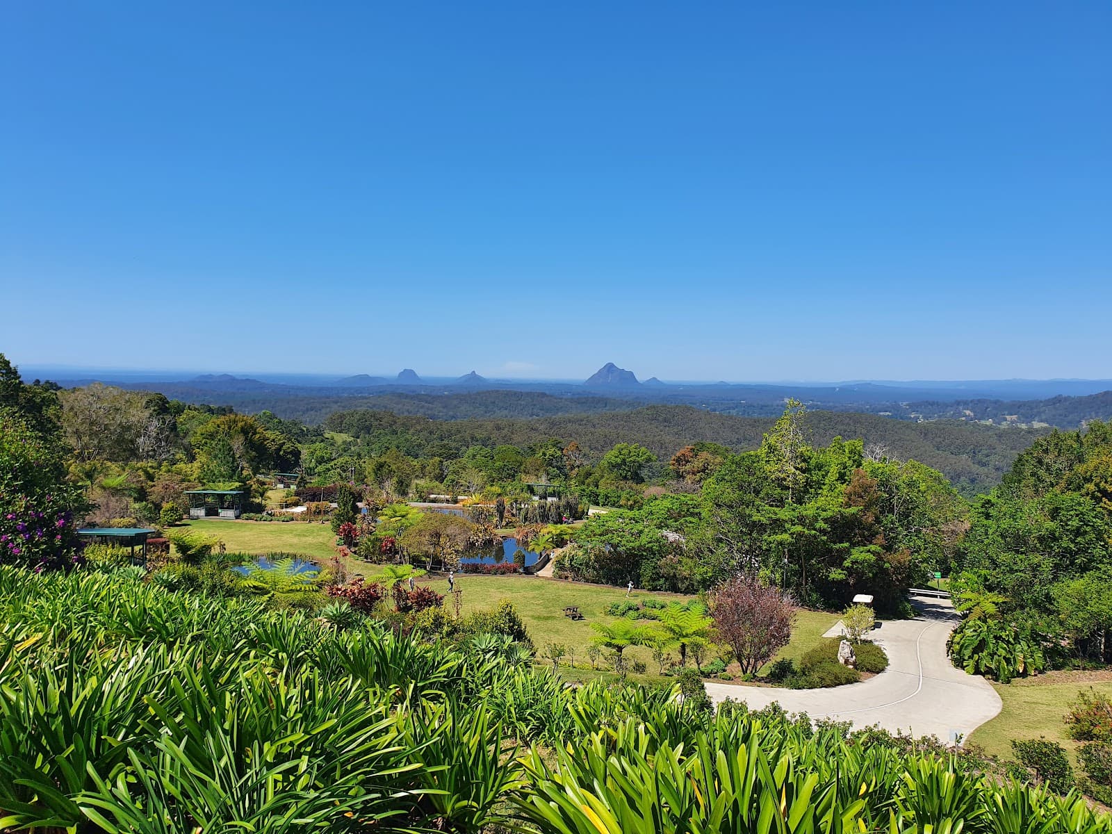 Maleny Botanic Gardens & Bird World — Montville, Sunshine Coast