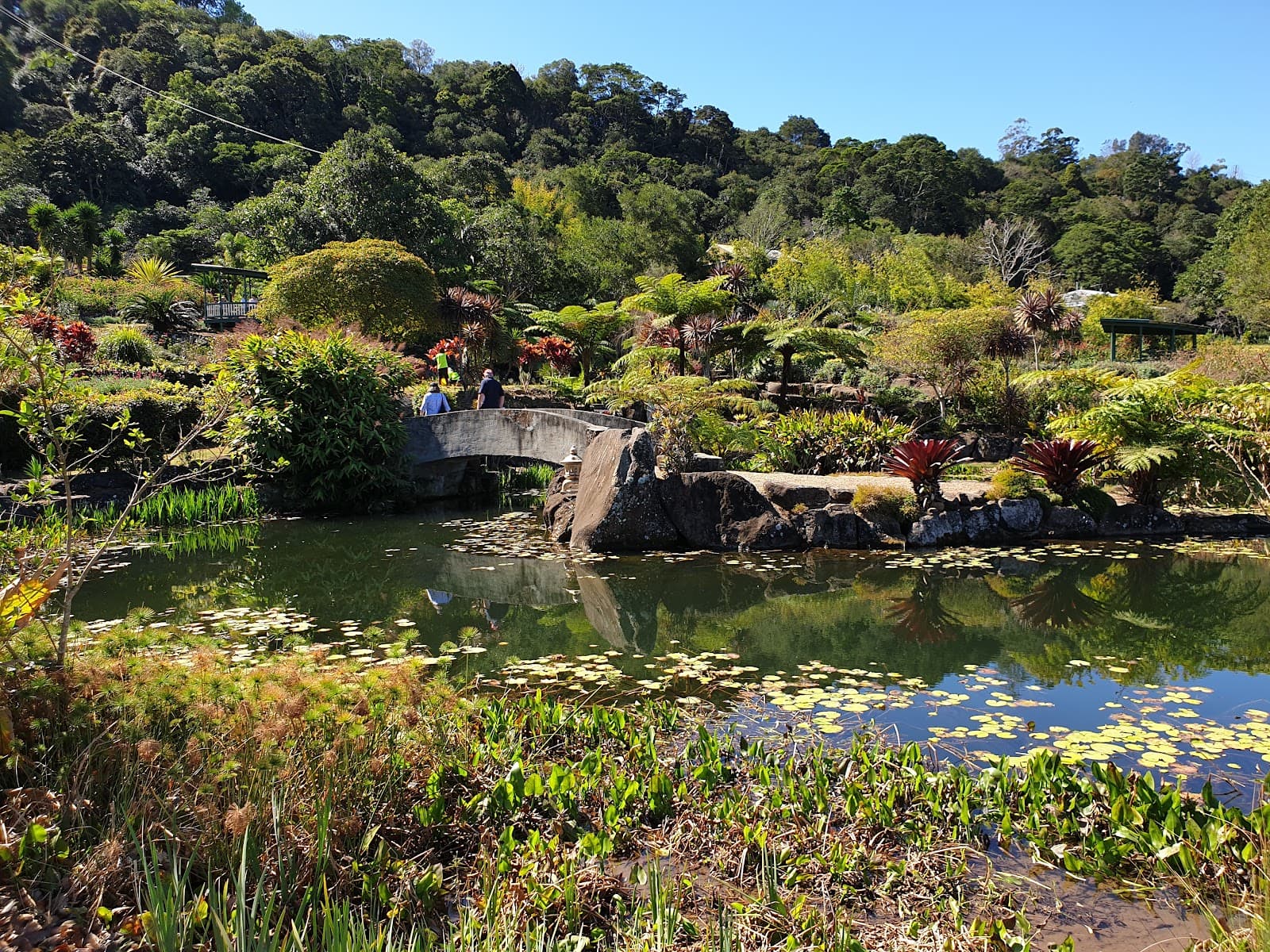Maleny Botanic Gardens & Bird World — Montville, Sunshine Coast