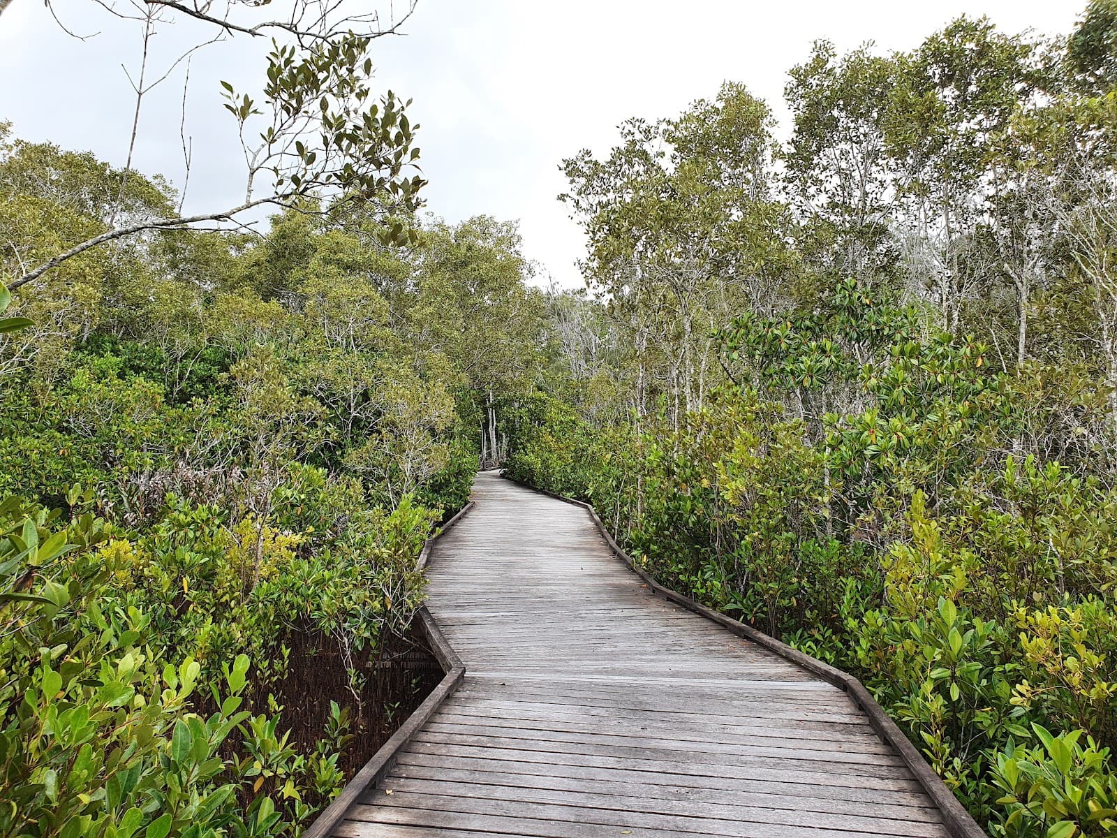 Maroochy Wetland Sanctuary — Marcoola, Sunshine Coast