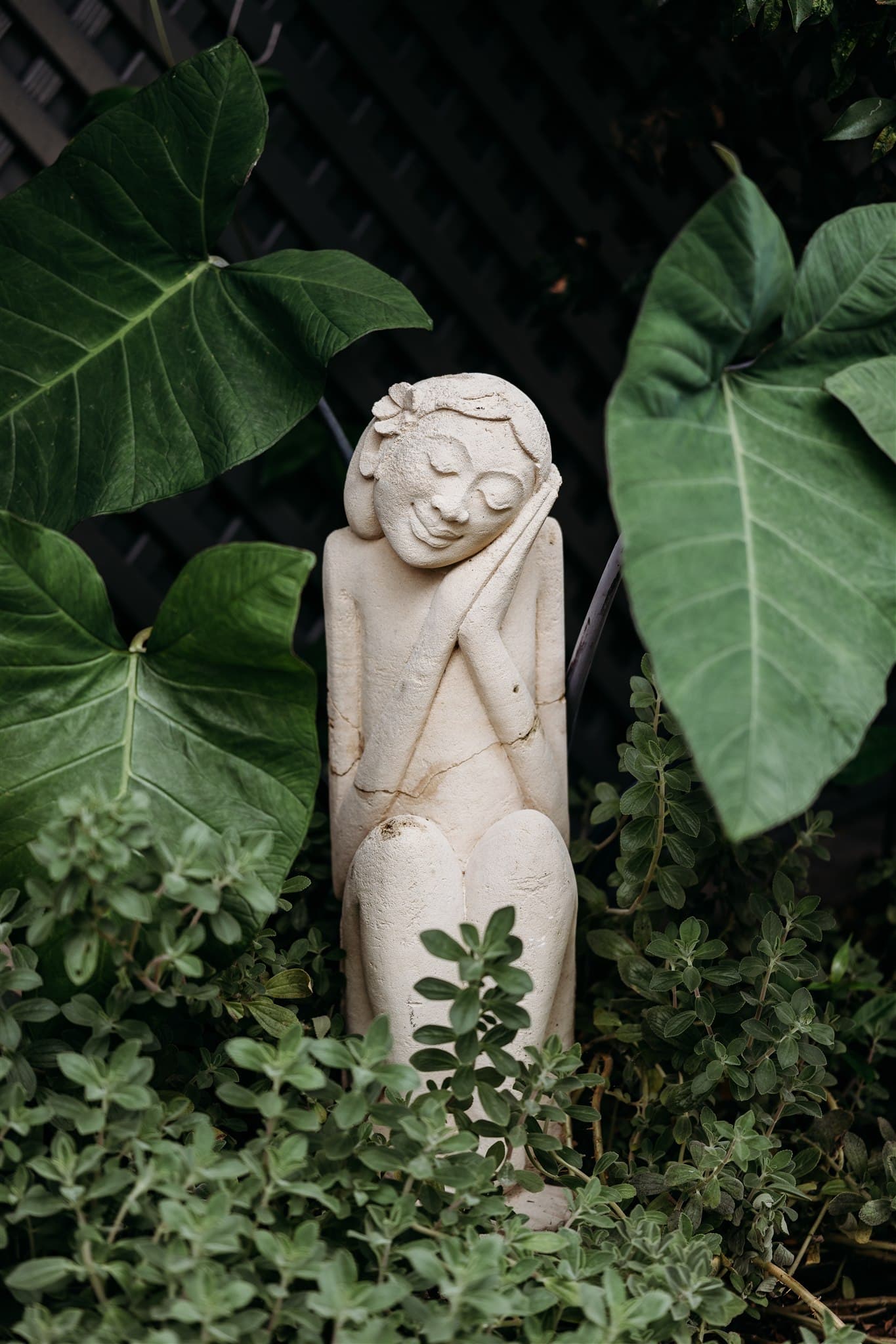 The Pavilion Eumundi — Eumundi, Sunshine Coast