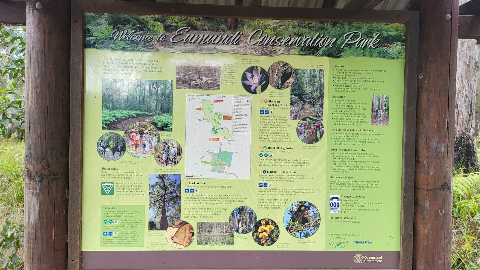 Eumundi Conservation Park — Eumundi, Sunshine Coast