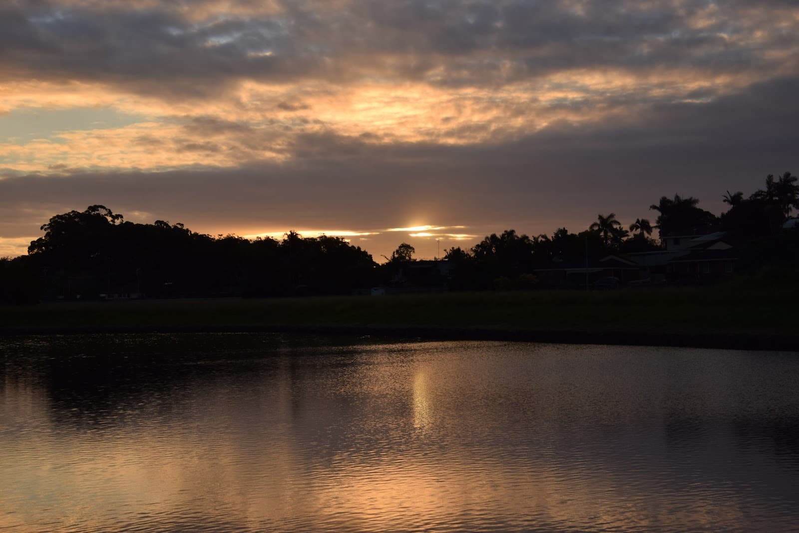 Sunshine Cove Park — Maroochydore, Sunshine Coast