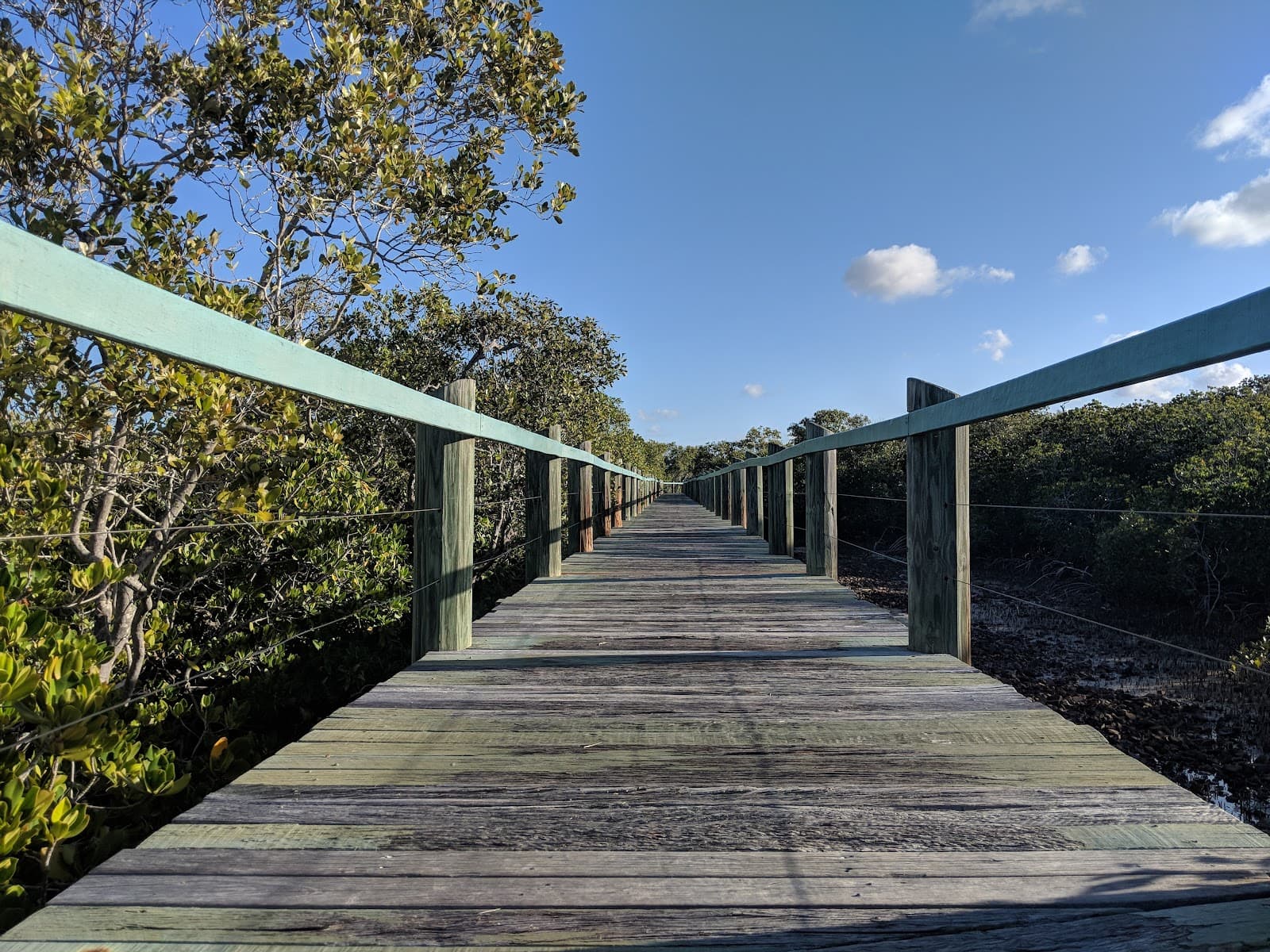 Maroochy River Conservation Park — Kawana Waters, Sunshine Coast
