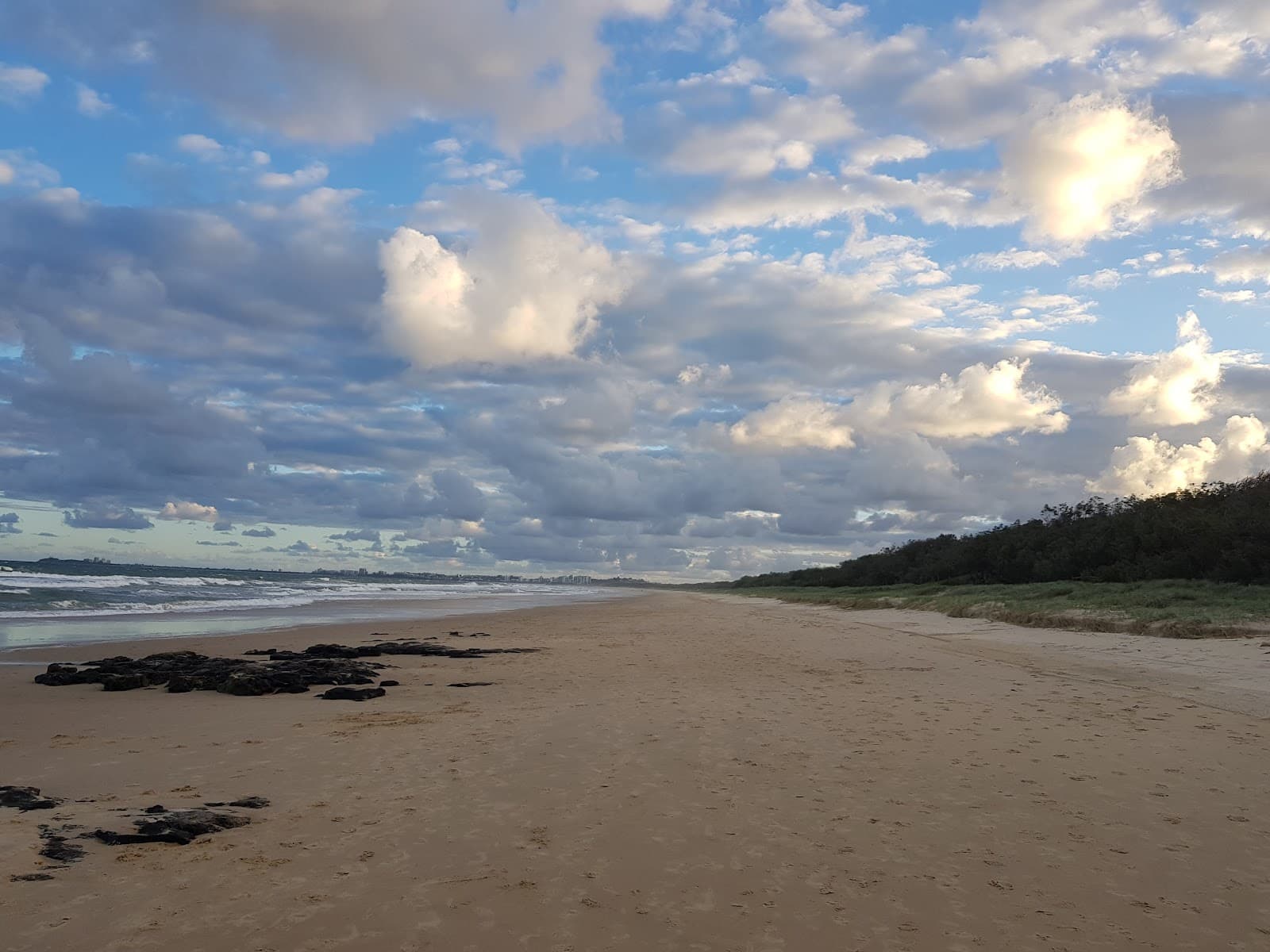 Maroochy River Conservation Park — Kawana Waters, Sunshine Coast
