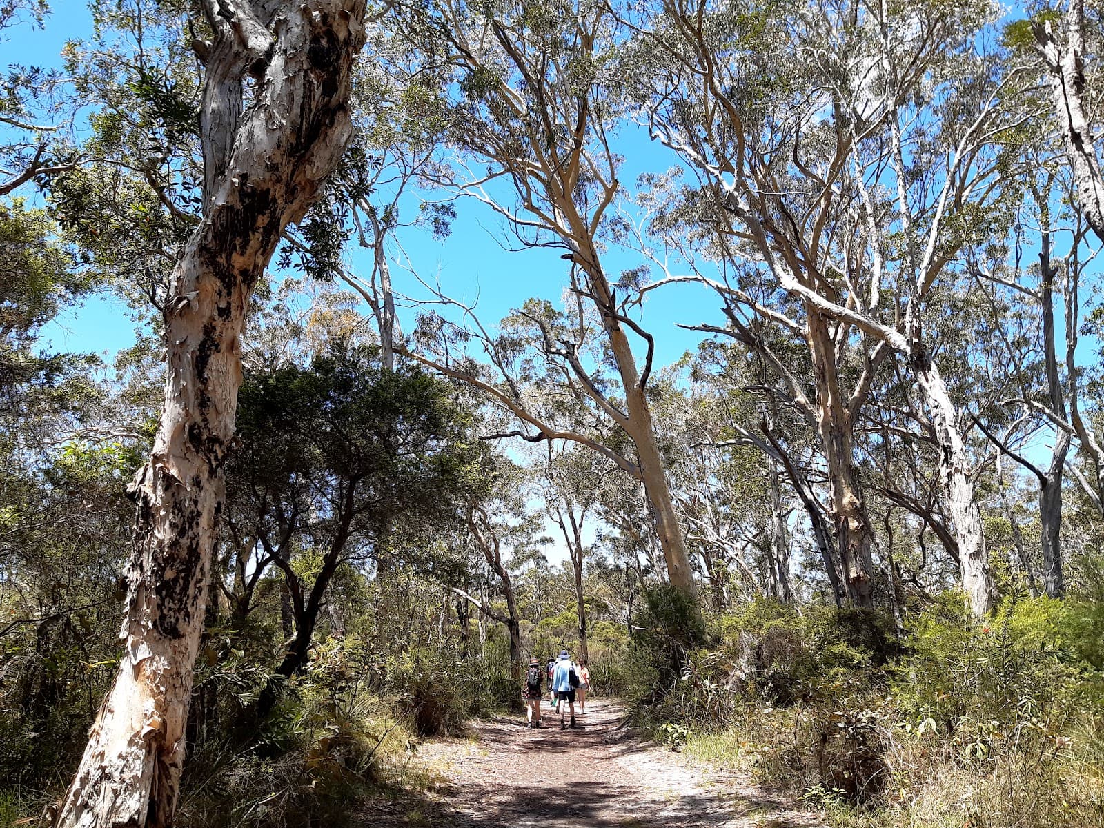 Mooloolah River National Park — Kawana Waters, Sunshine Coast