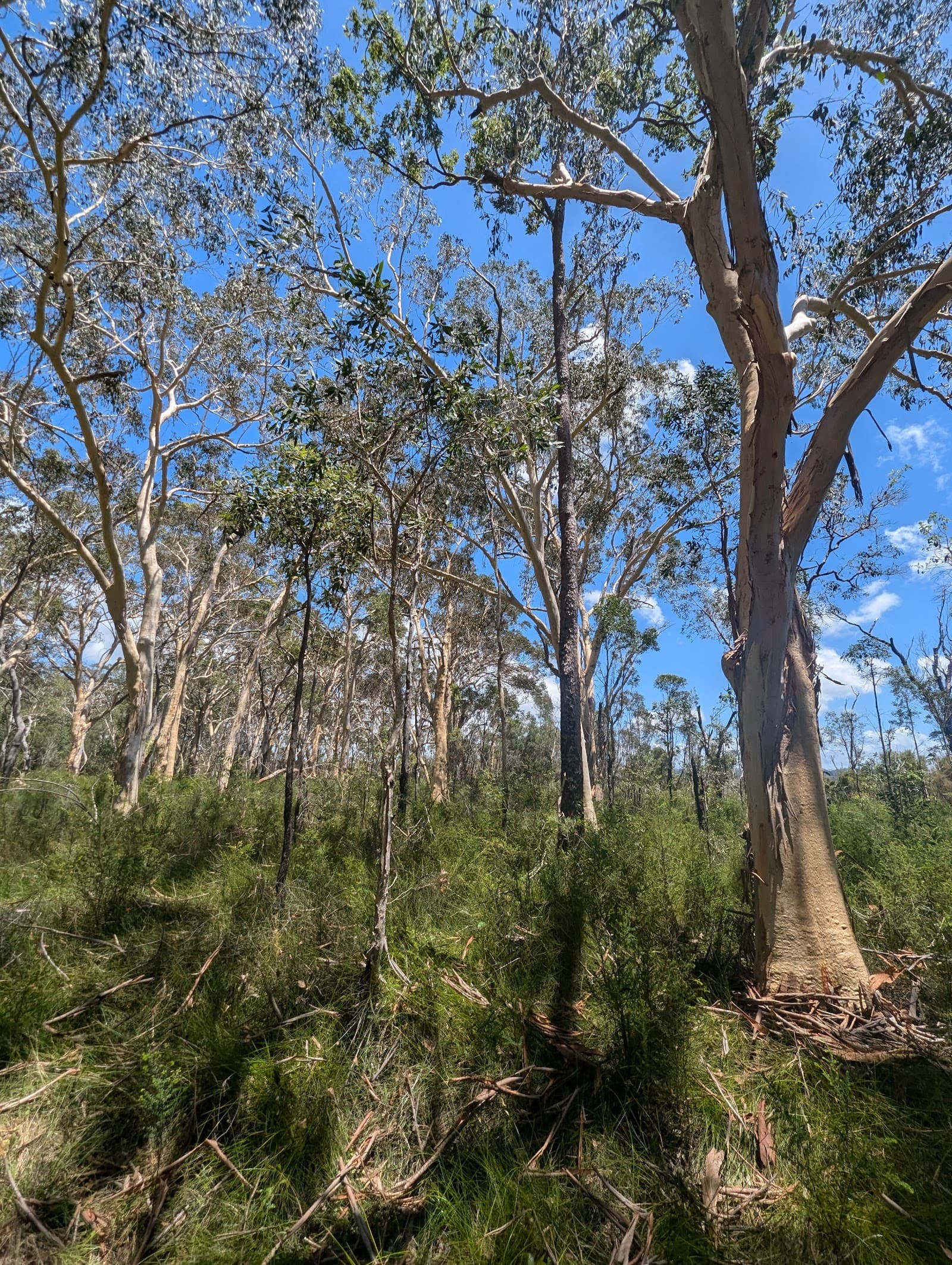 Mooloolah River National Park — Kawana Waters, Sunshine Coast