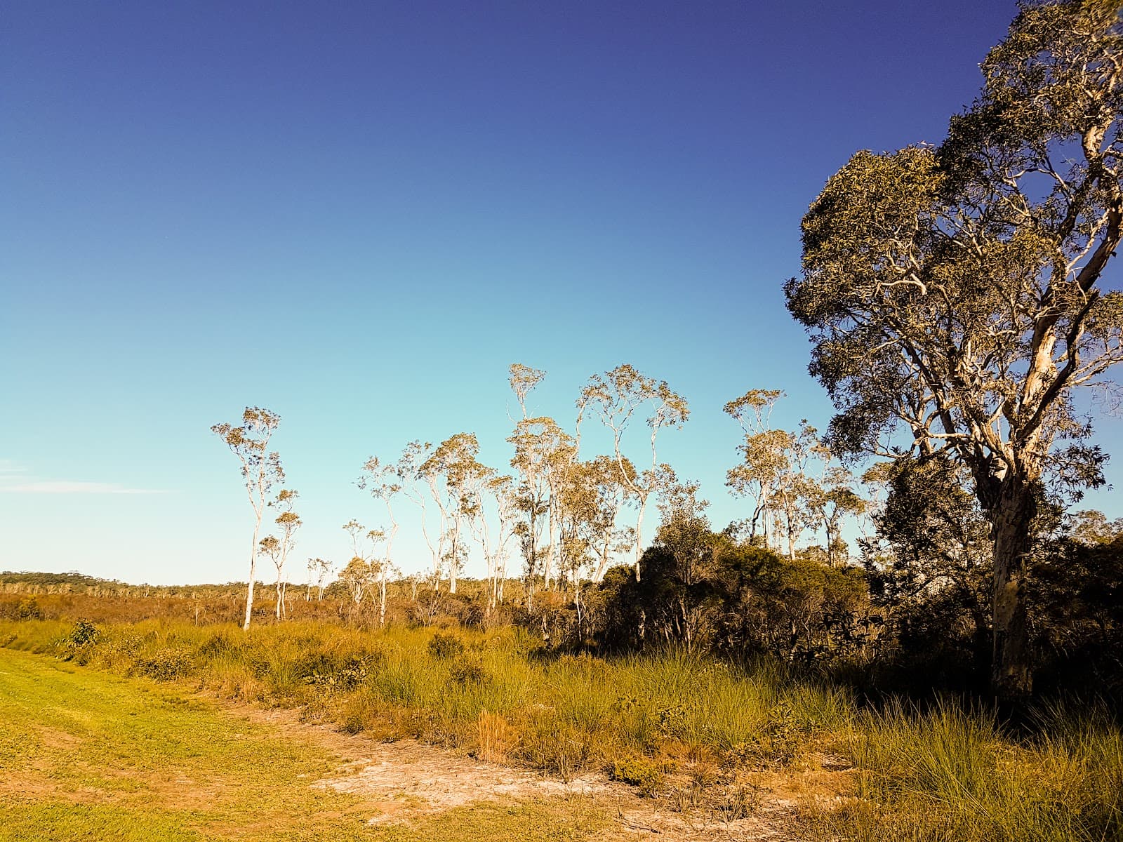 Mooloolah River National Park — Kawana Waters, Sunshine Coast