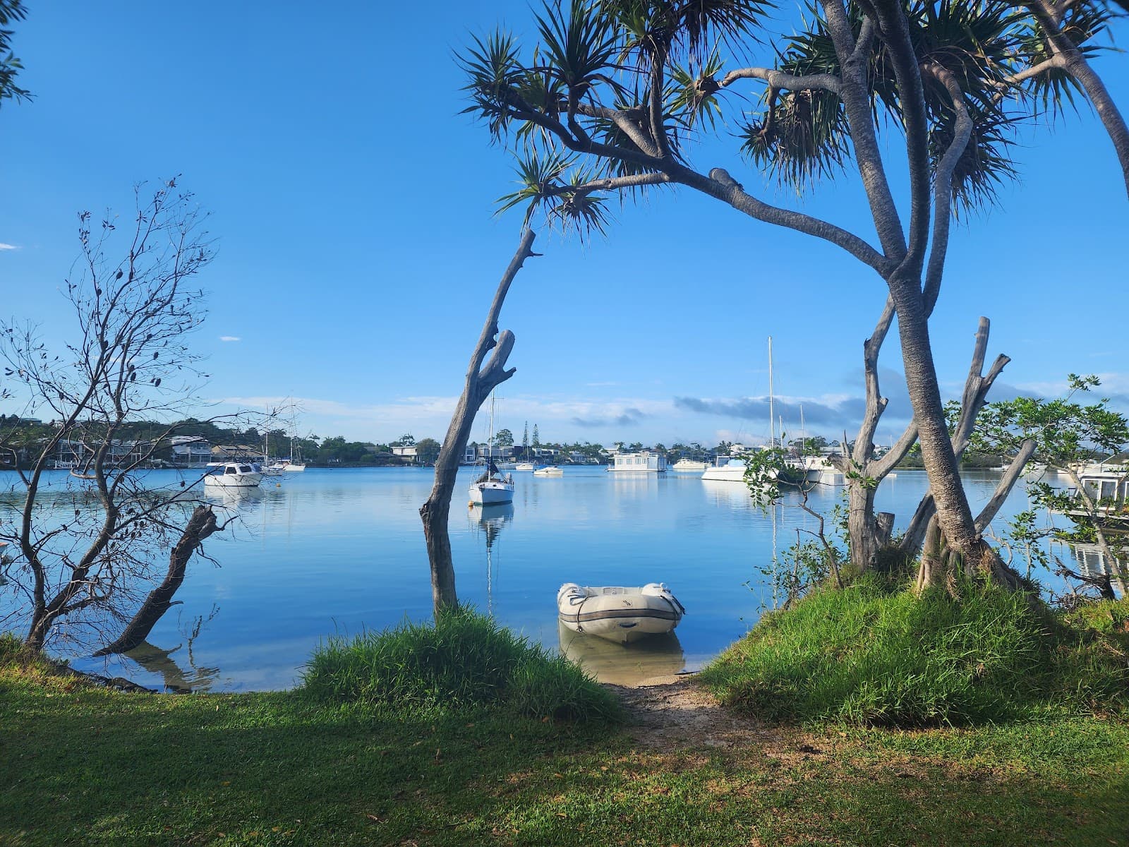 Noosa Woods — Noosaville, Sunshine Coast