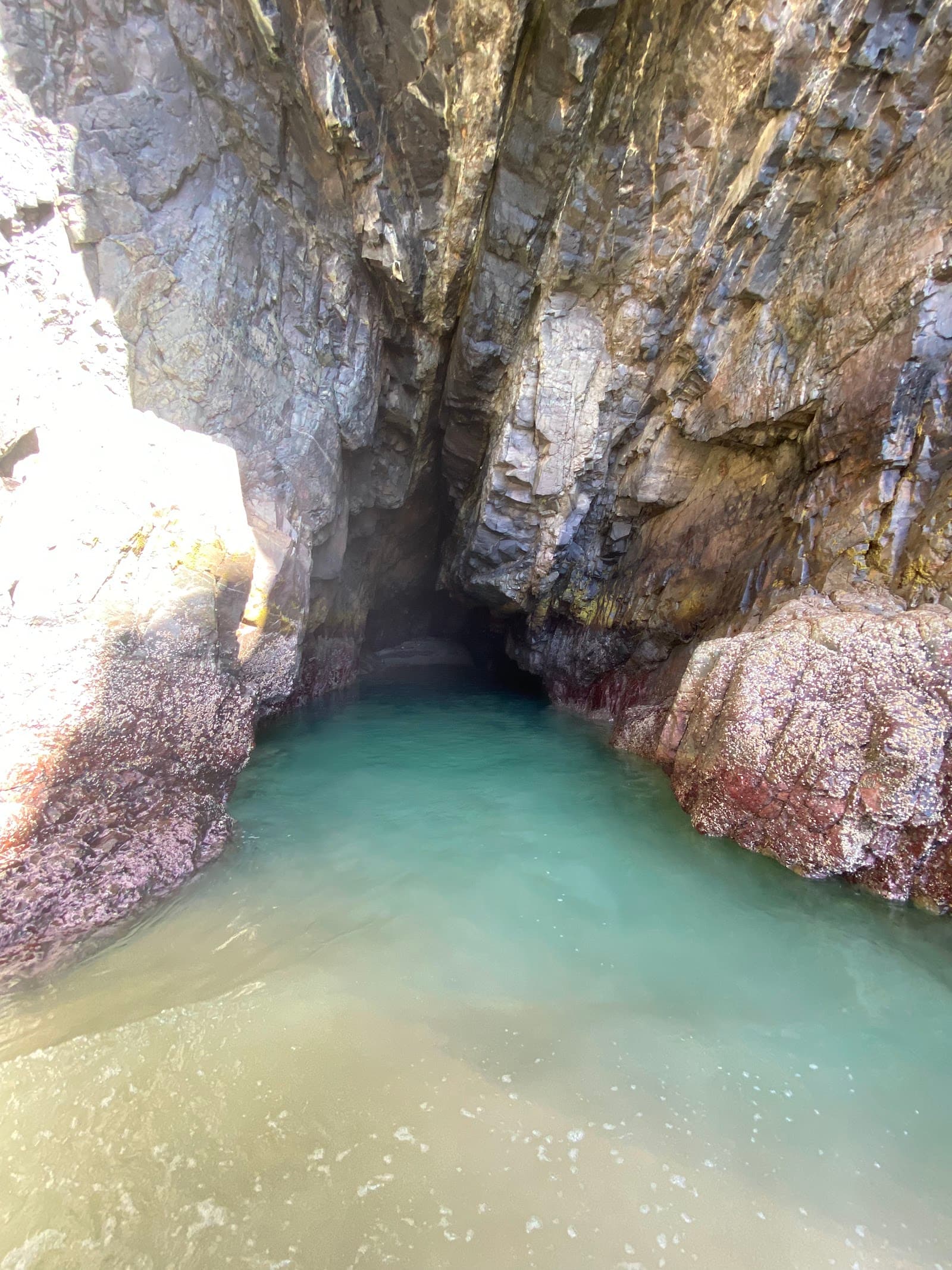 Paradise Caves — Noosaville, Sunshine Coast