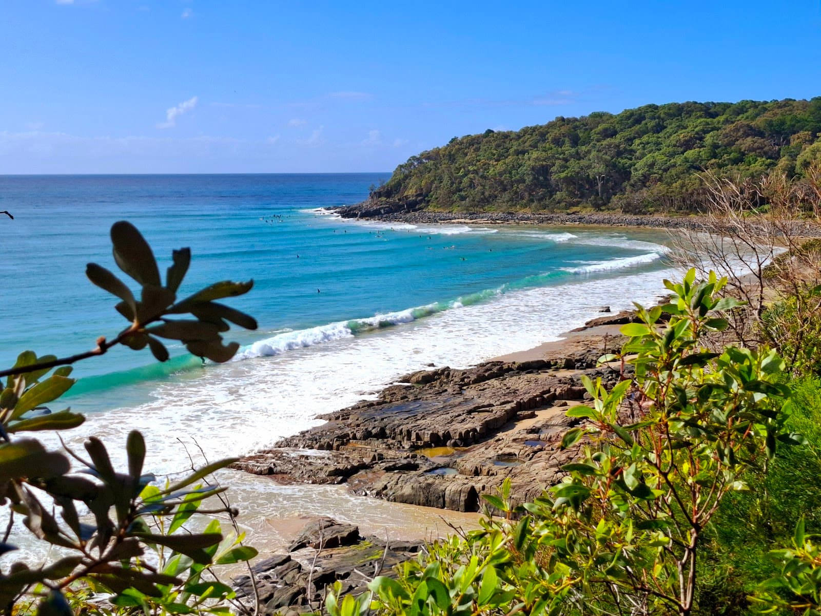 Noosa Coastal Walk — Noosaville, Sunshine Coast