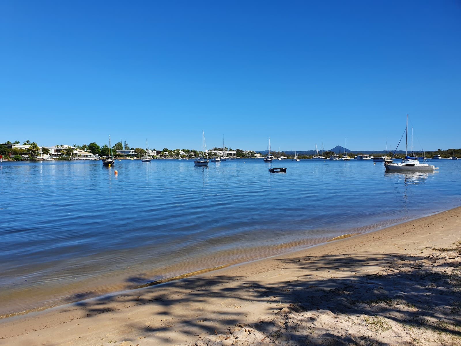 Doggy Beach — Noosaville, Sunshine Coast